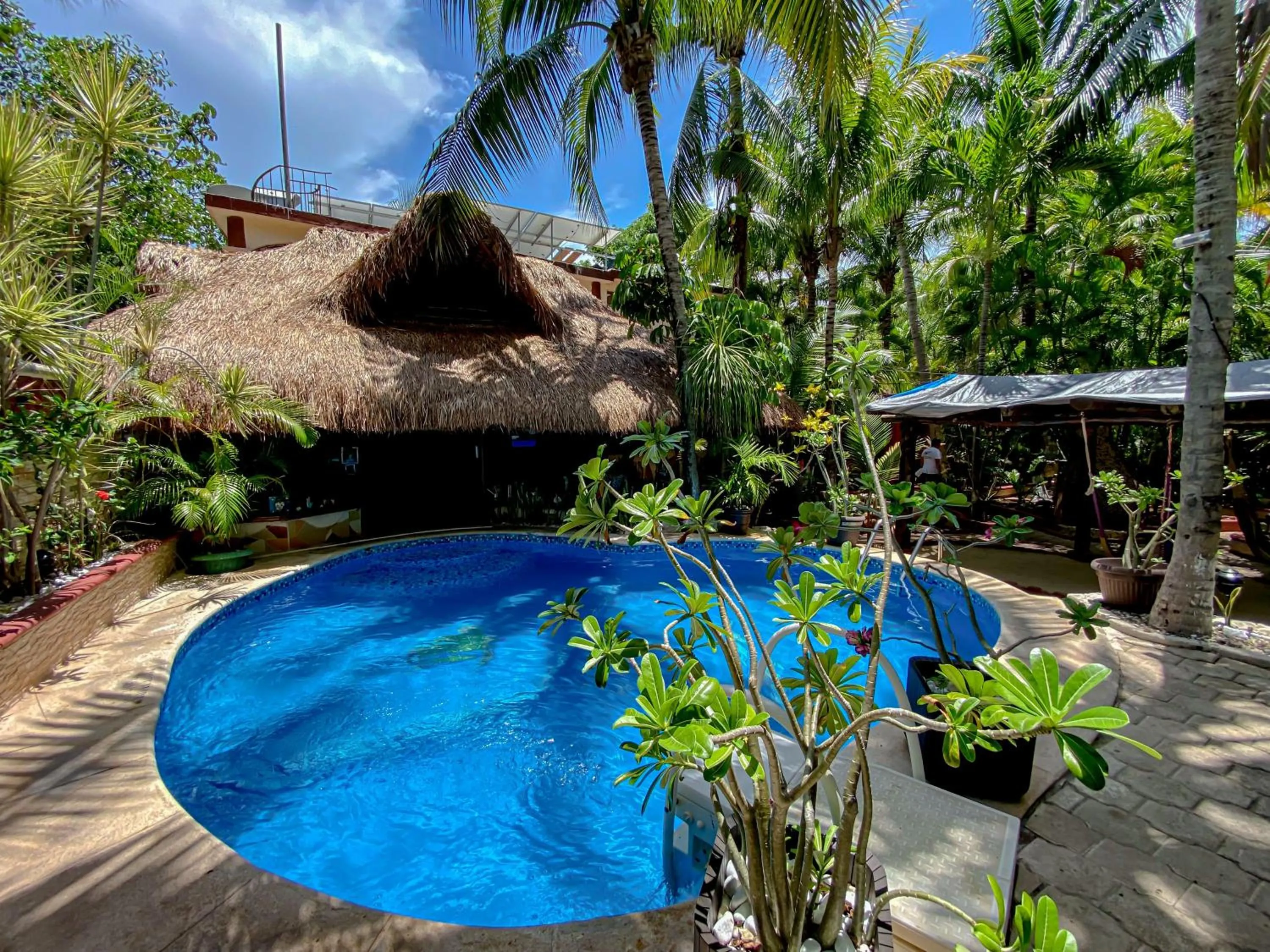 Swimming pool in Cocos Cabañas Playa del Carmen Adults Only