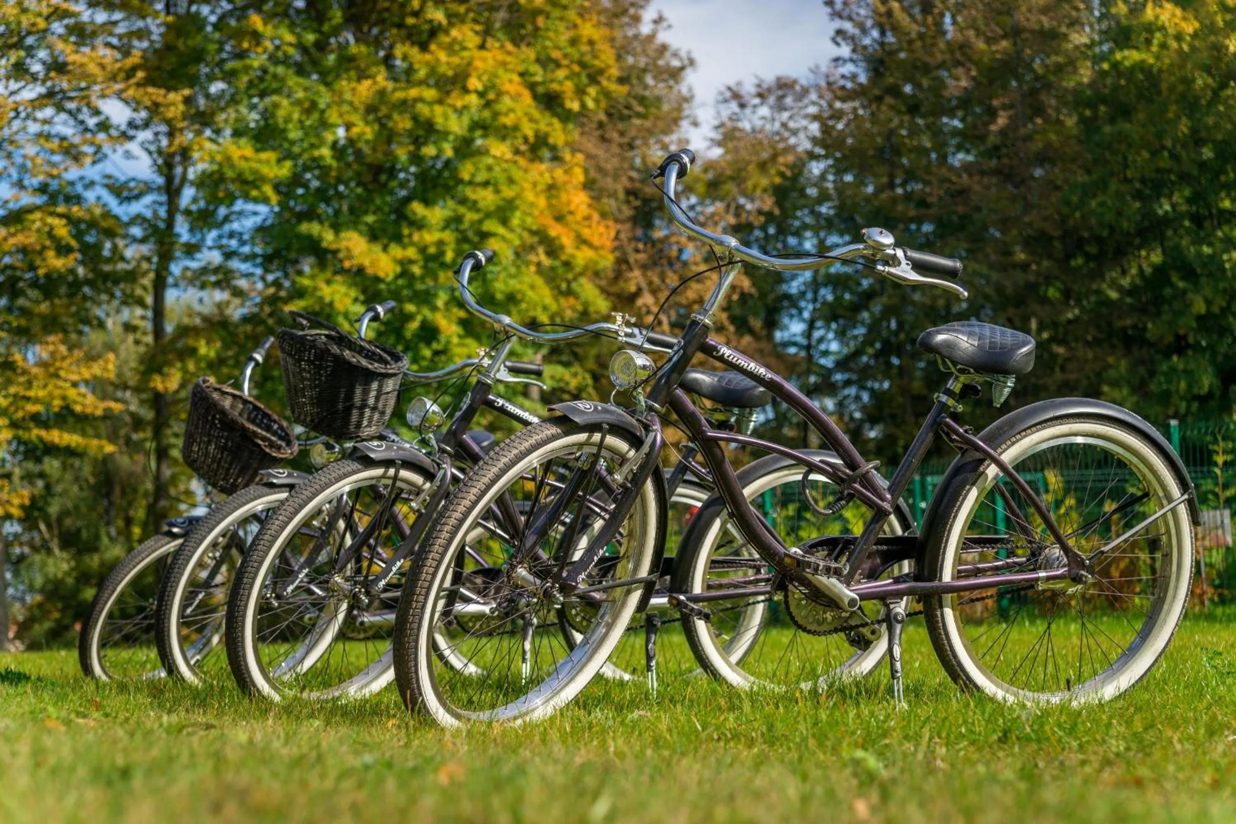 Activities in Enklawa Mikołajki