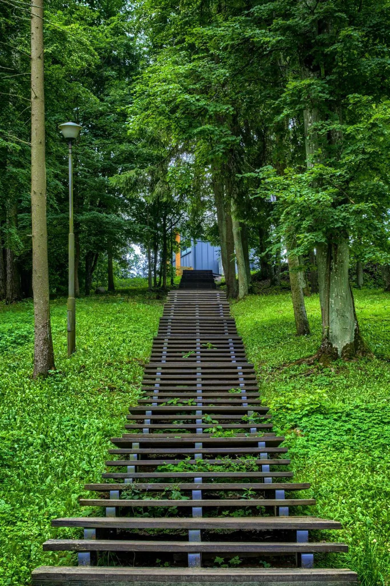 Garden in Enklawa Mikołajki