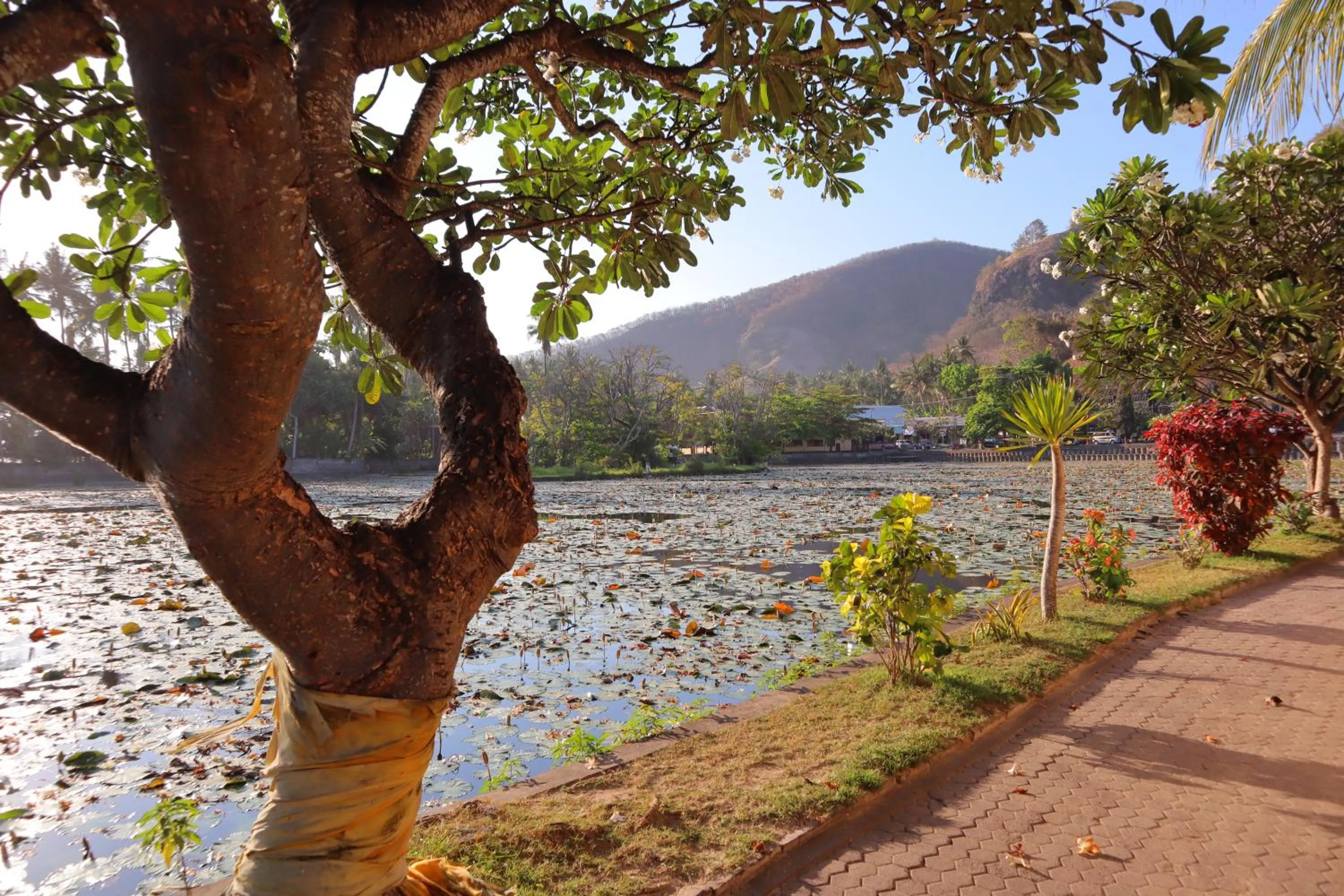 Natural landscape in The Forty Eight Resort Candidasa