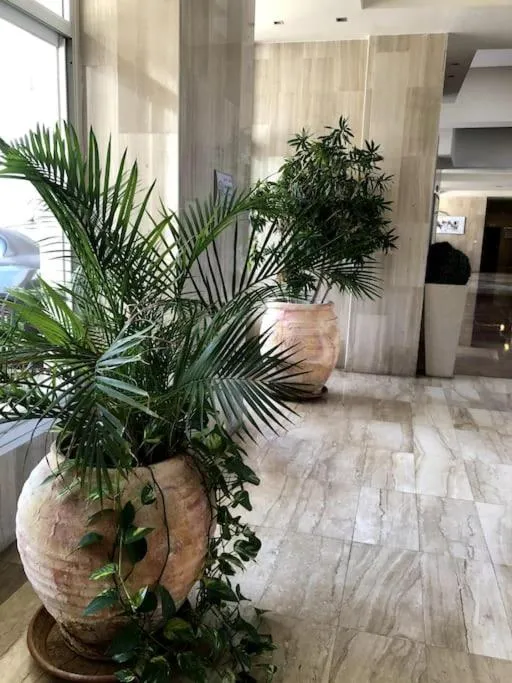 Nitza Seaview Apartments