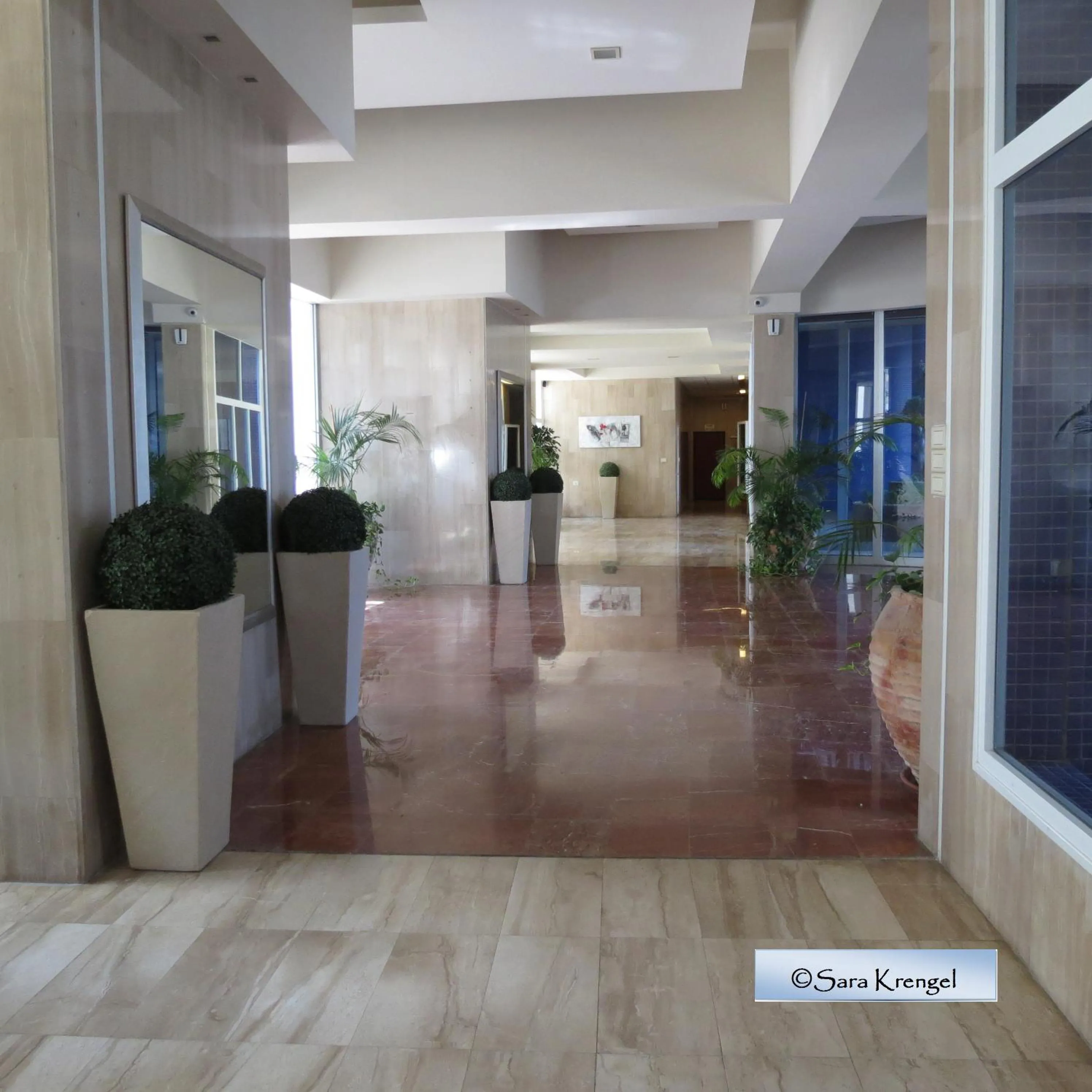 Nitza Seaview Apartments