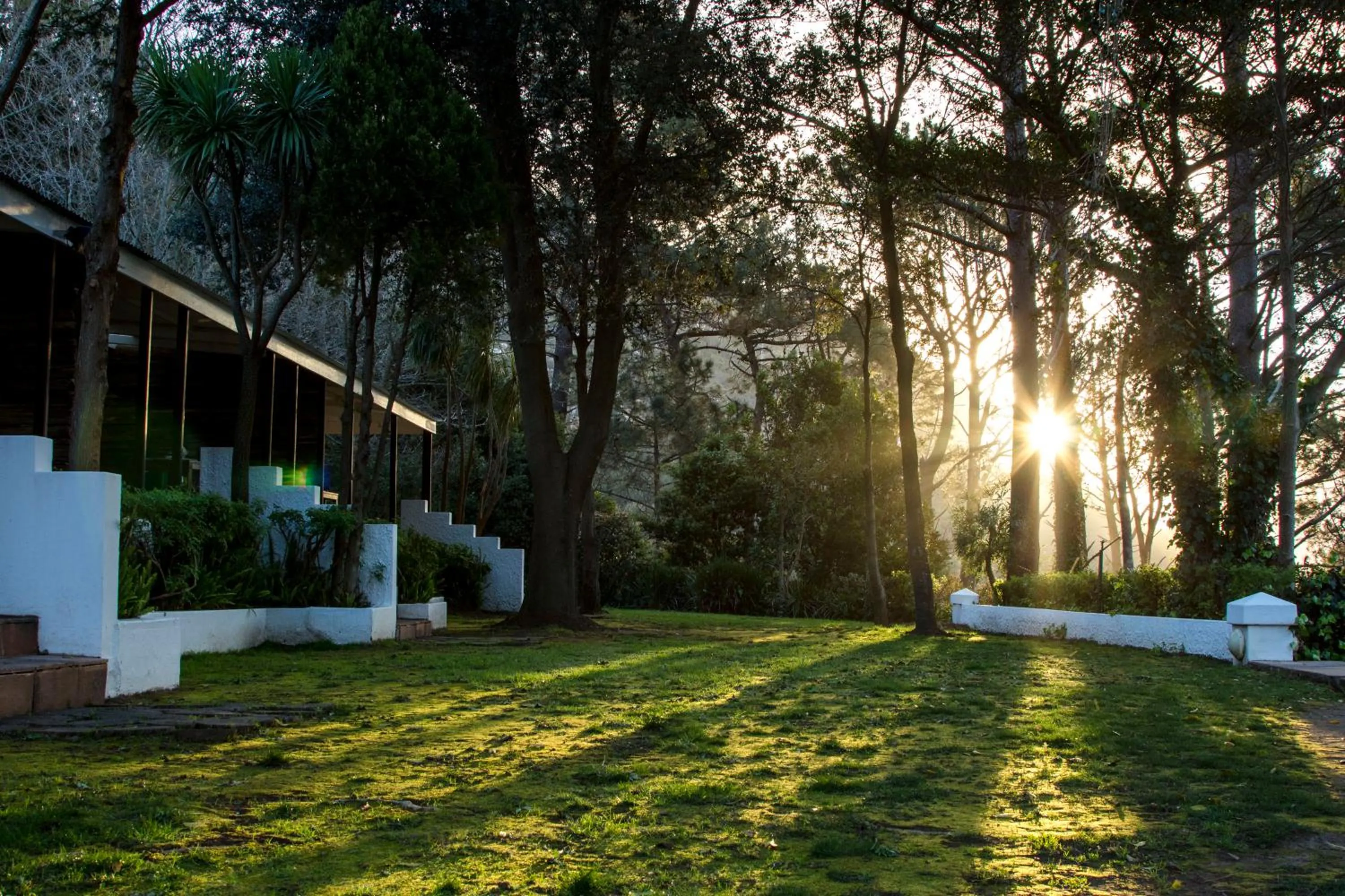 Garden in Silvermist Wine Estate