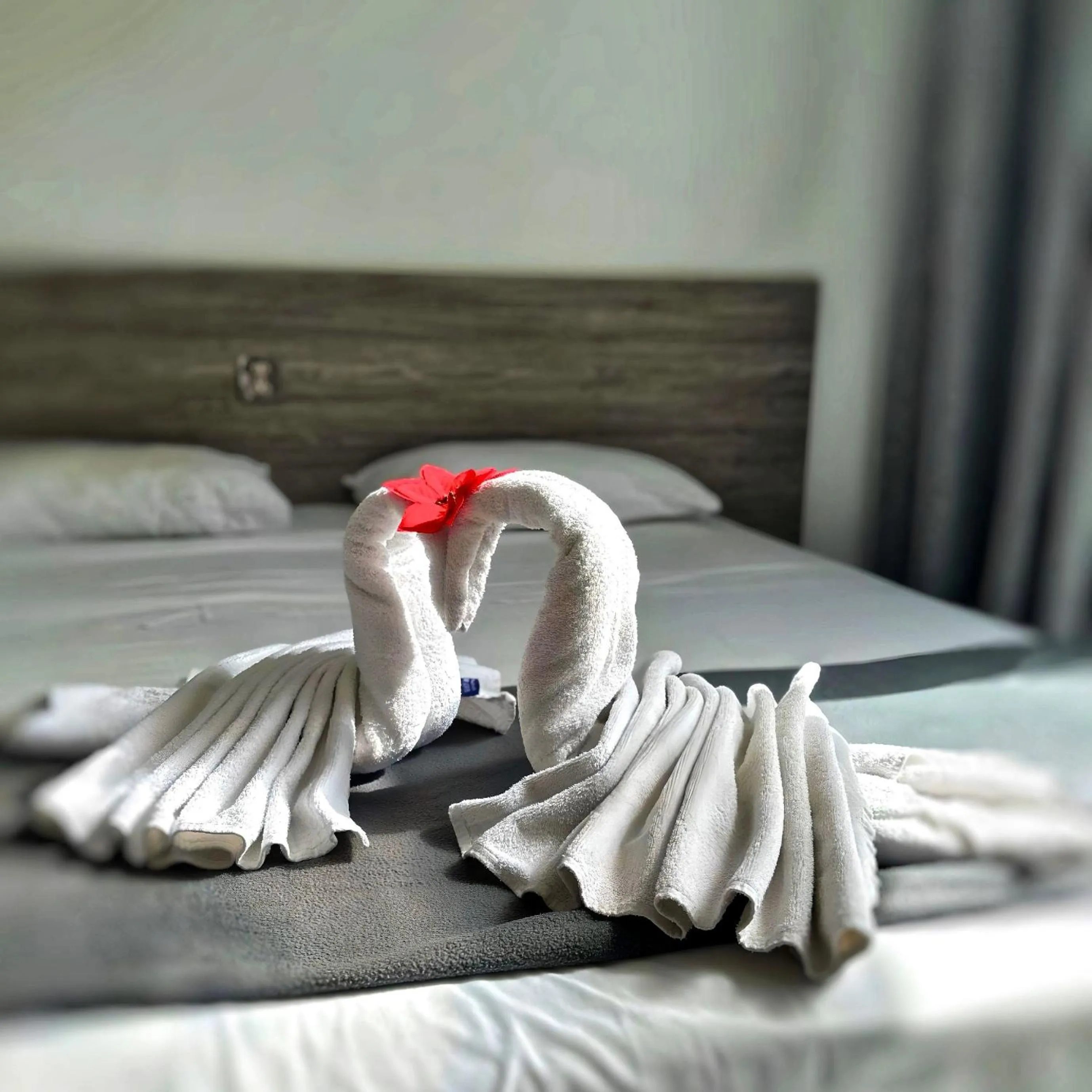 Bed in For Rest Aparthotel