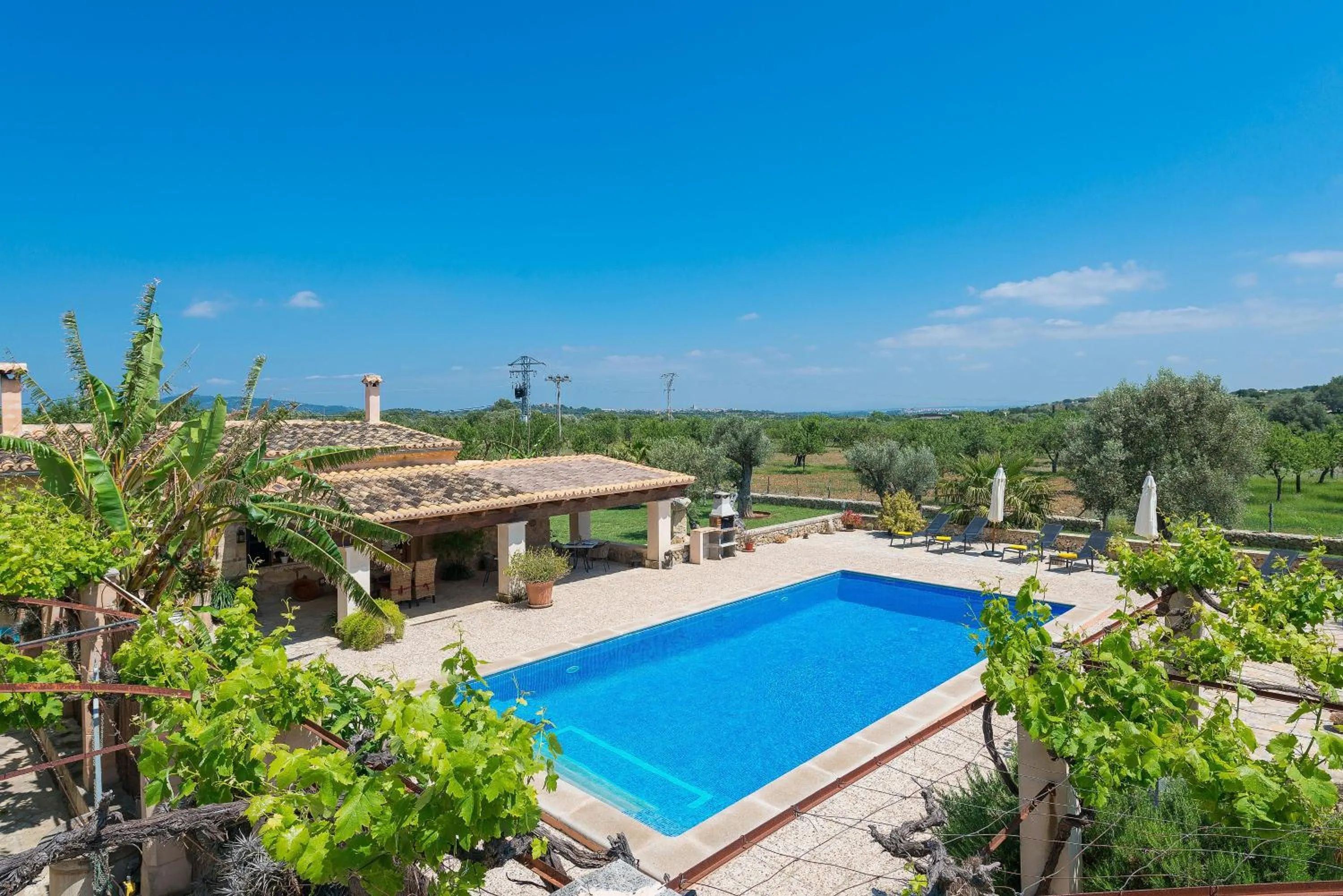 Garden in Finca - Agroturisme Sa Parellada