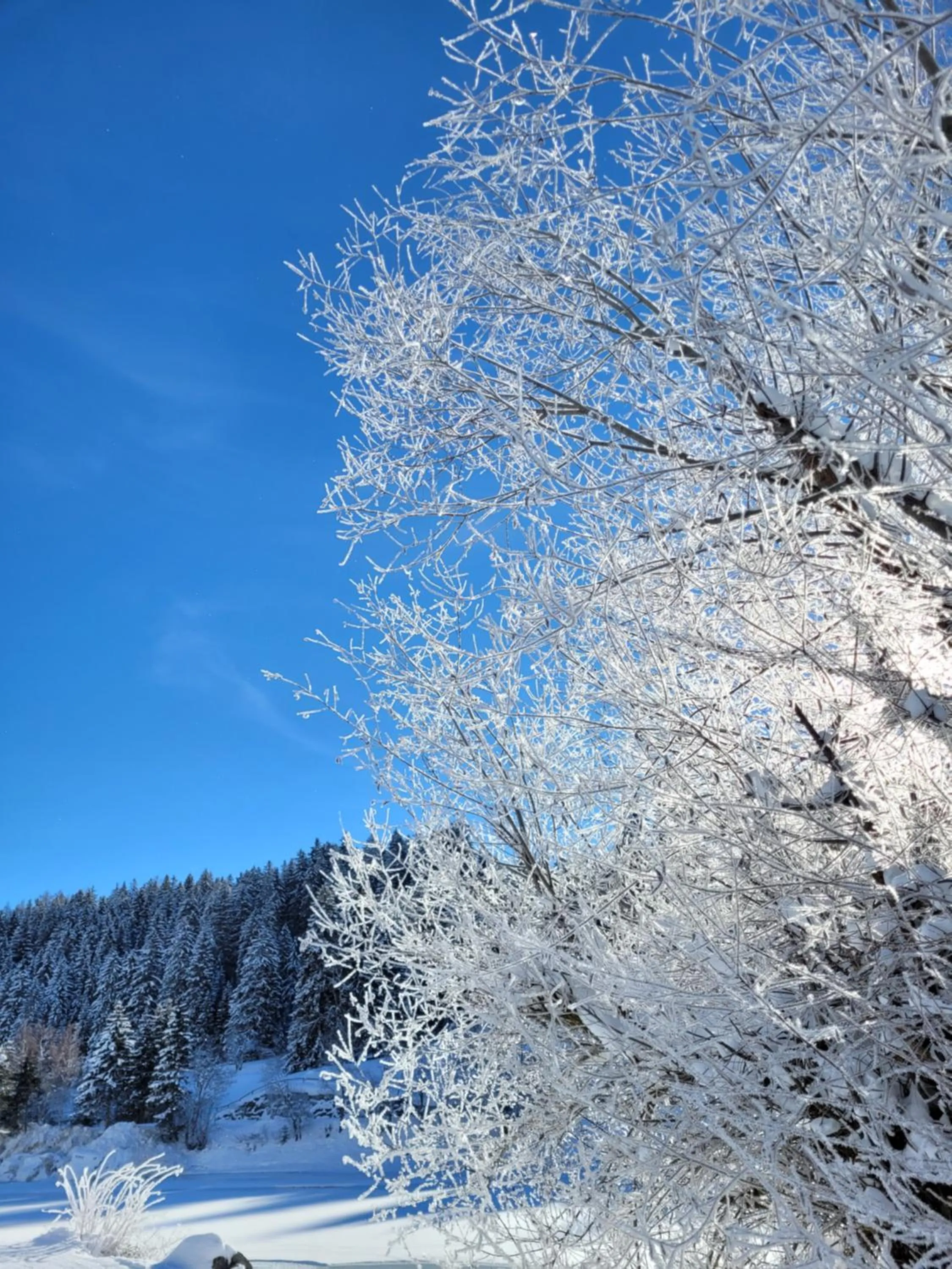 Winter in Hotel Mischun
