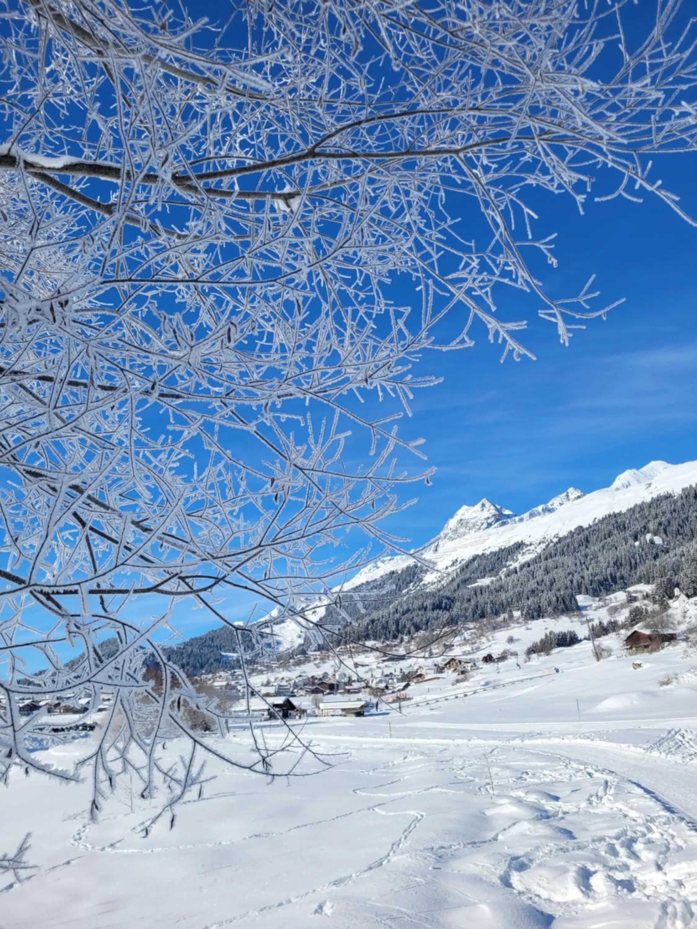 Winter in Hotel Mischun