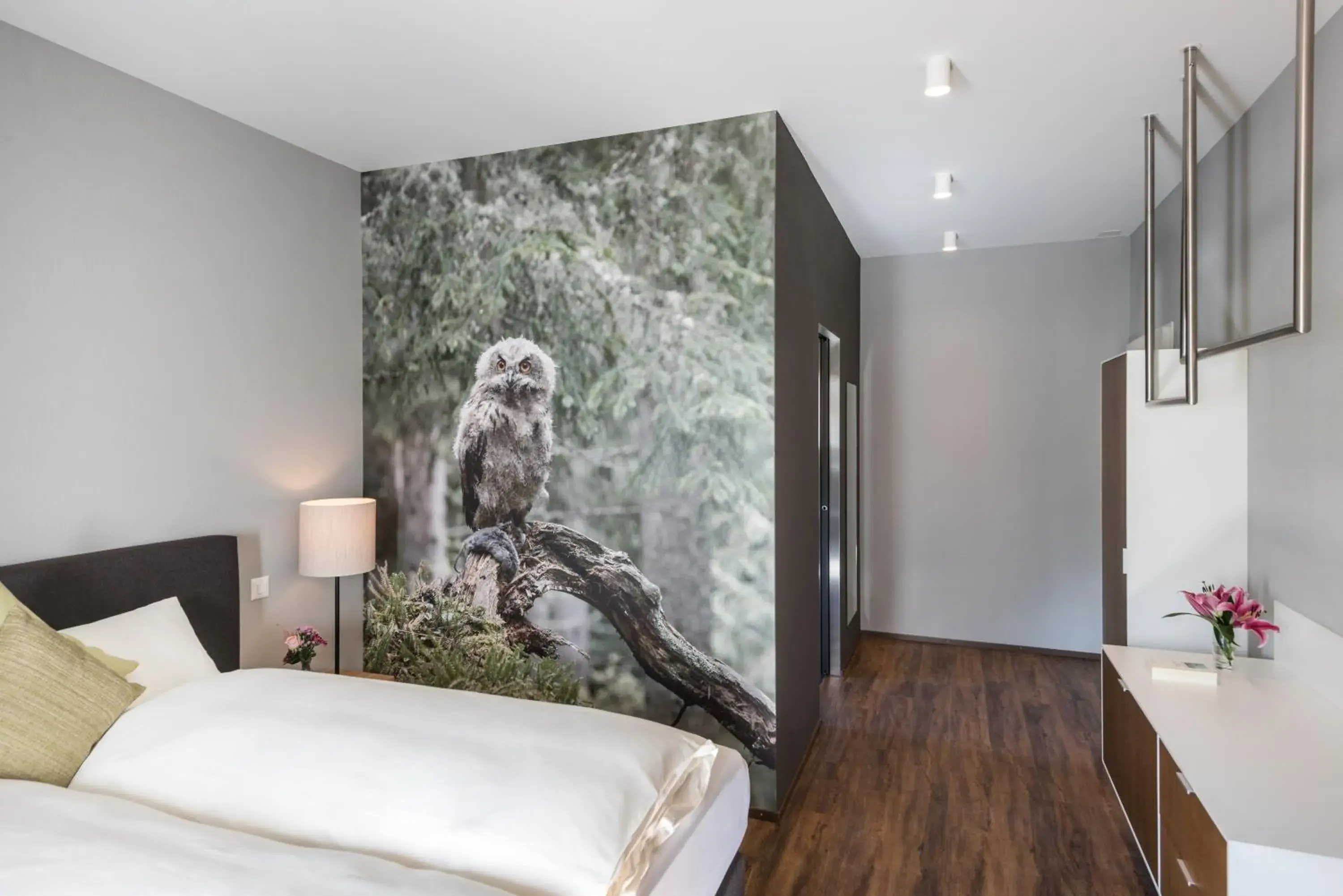 Double Room - single occupancy in Hotel Mischun Double Room - single occupancy in Hotel Mischun