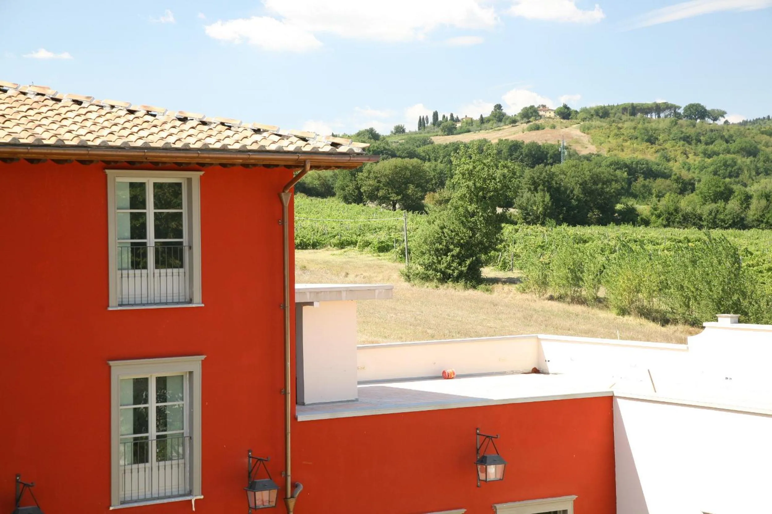 View (from property/room) in Villa Il Palagio