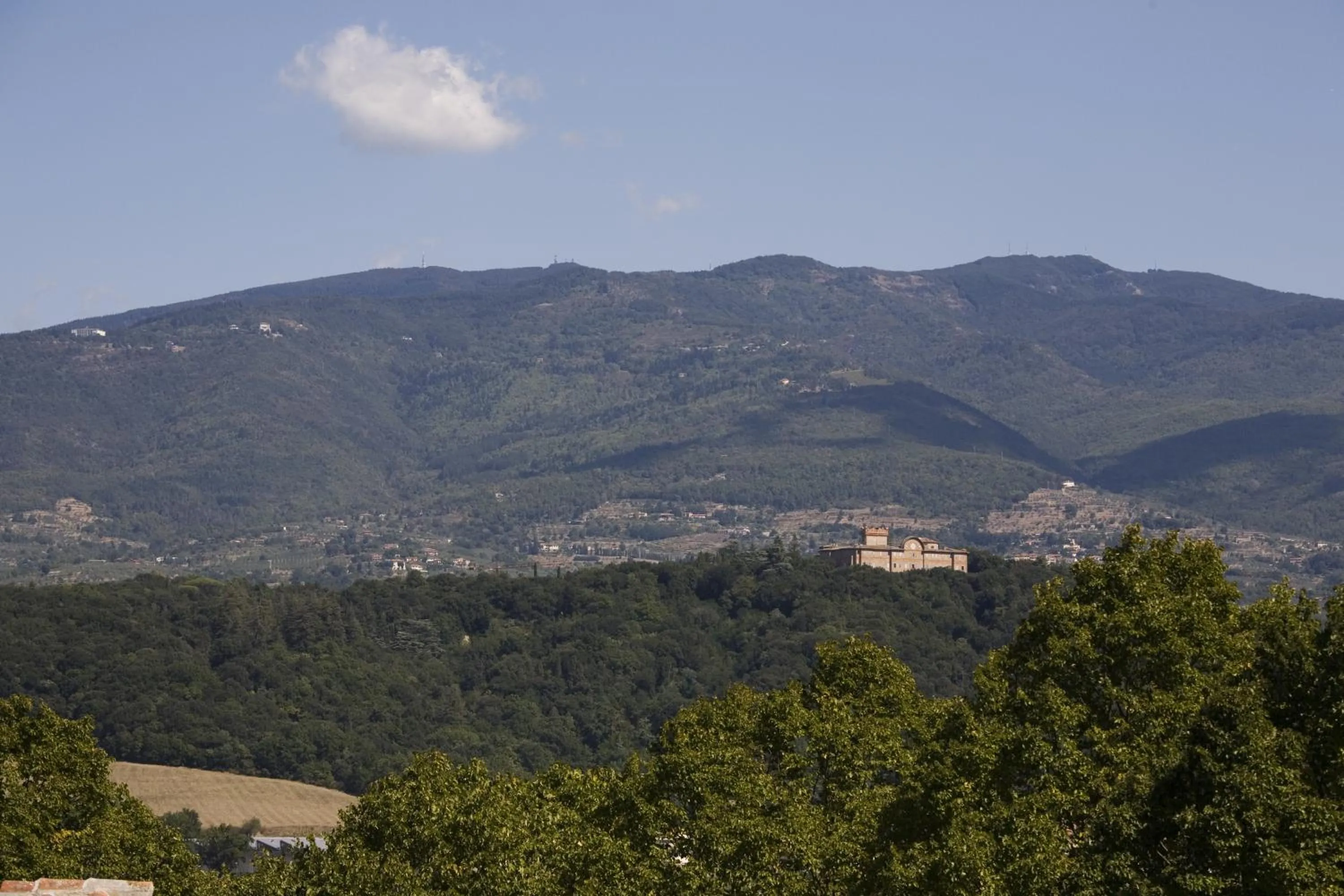 Summer in Villa Il Palagio