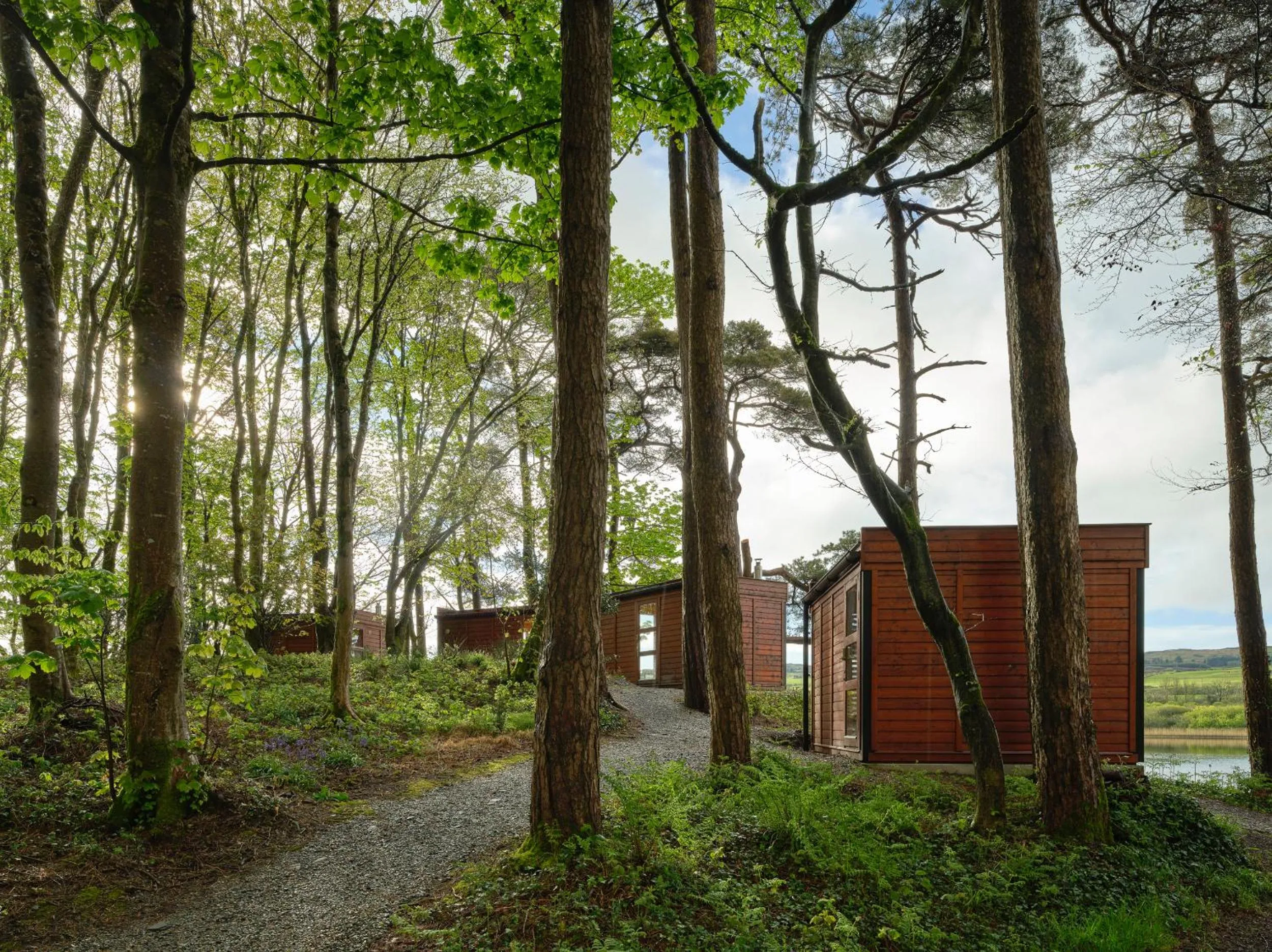 Day in Liss Ard Estate