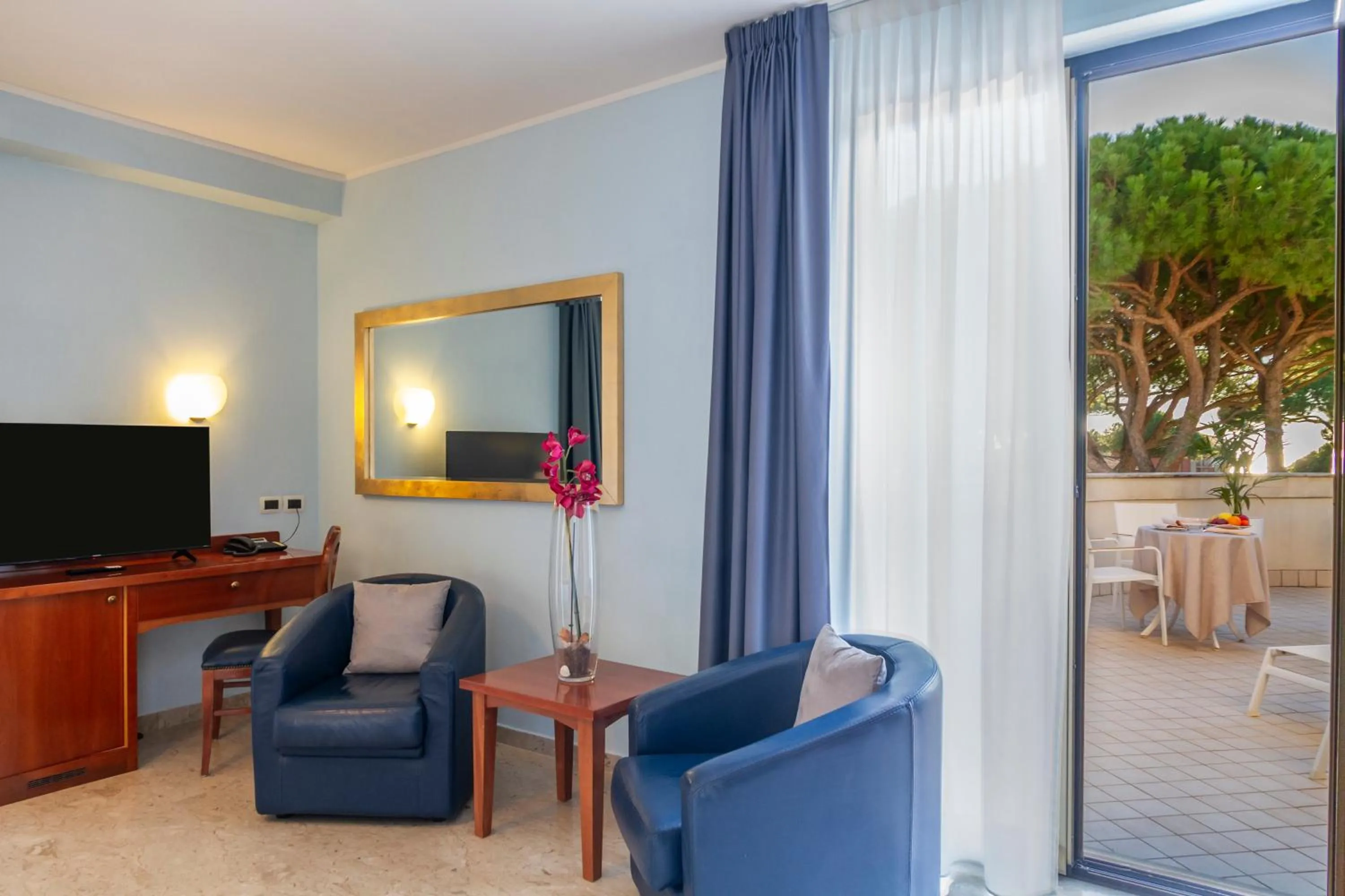 TV and multimedia in Hotel Terme Marine Leopoldo II TERME & SPA