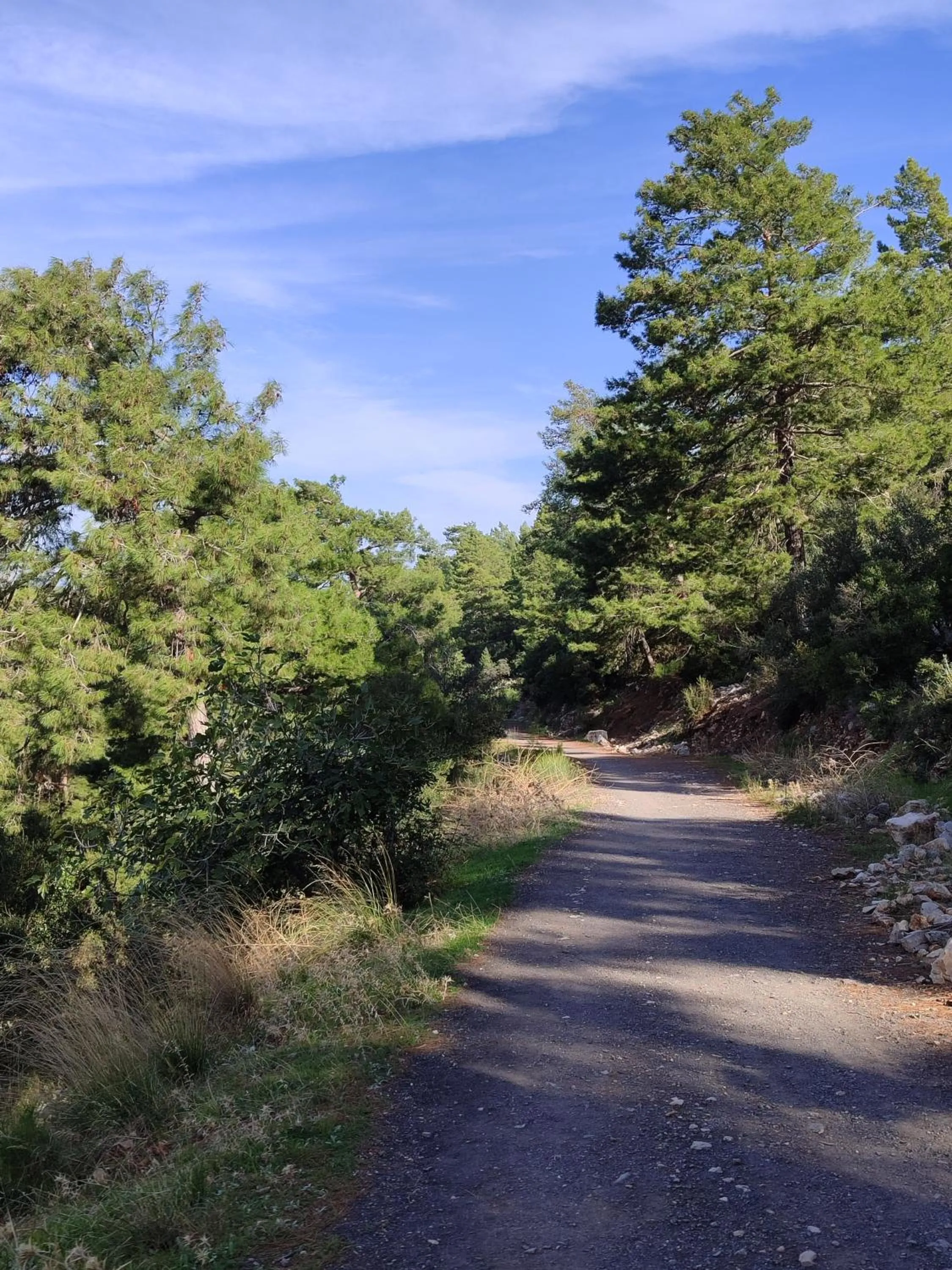 Activities in Salonika Suites