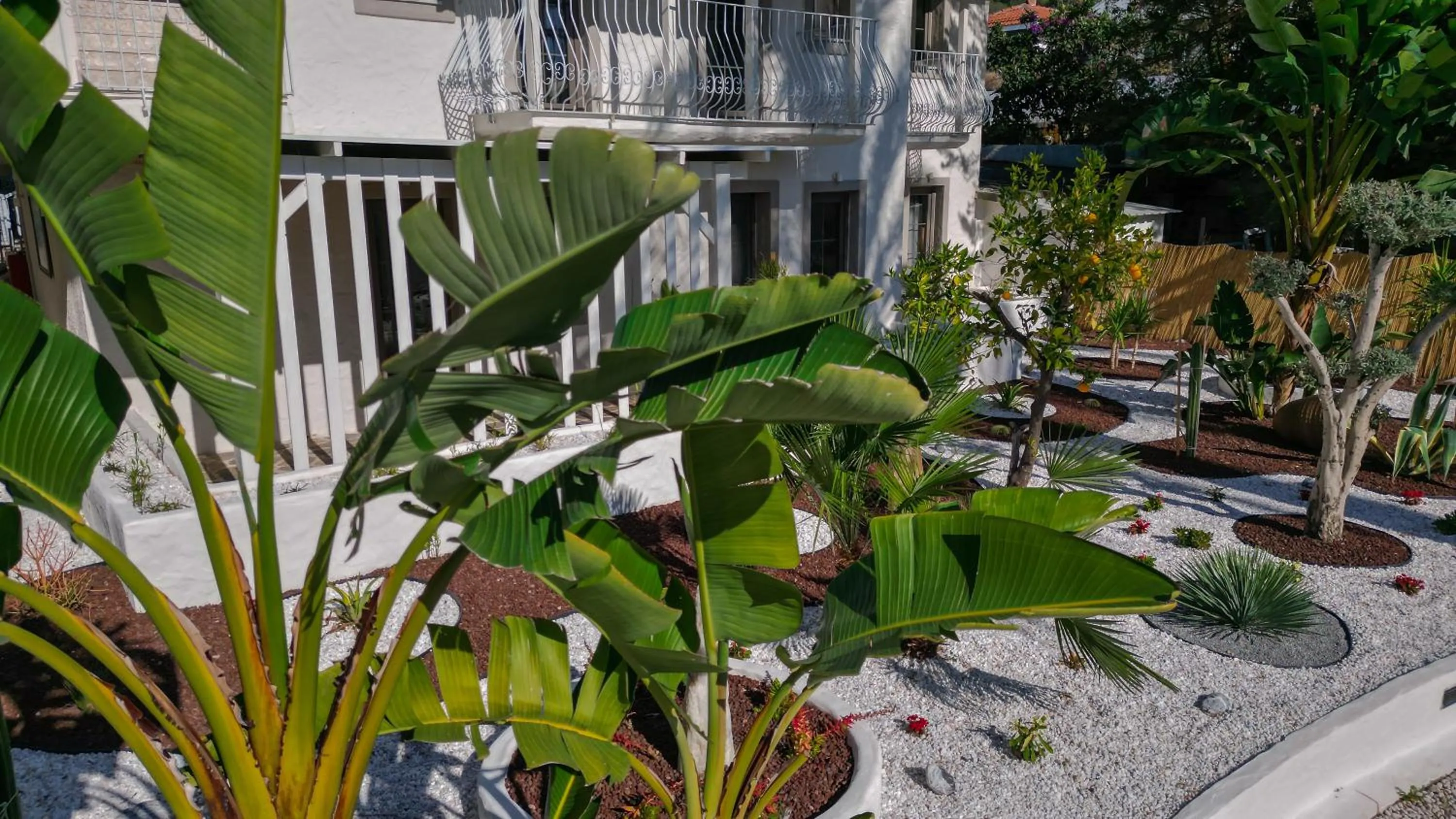 Garden in Salonika Suites
