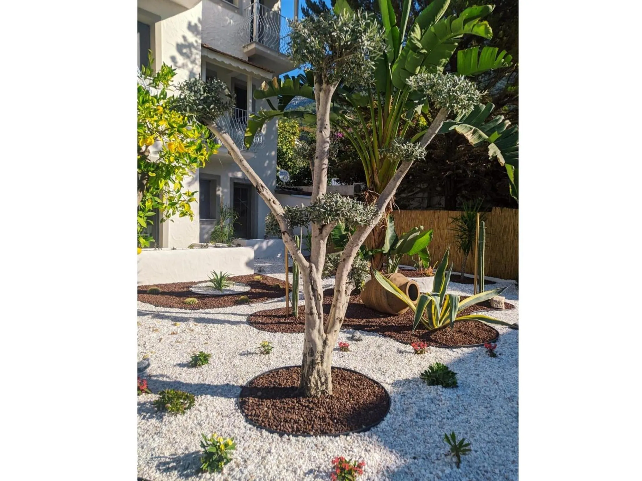 Garden in Salonika Suites