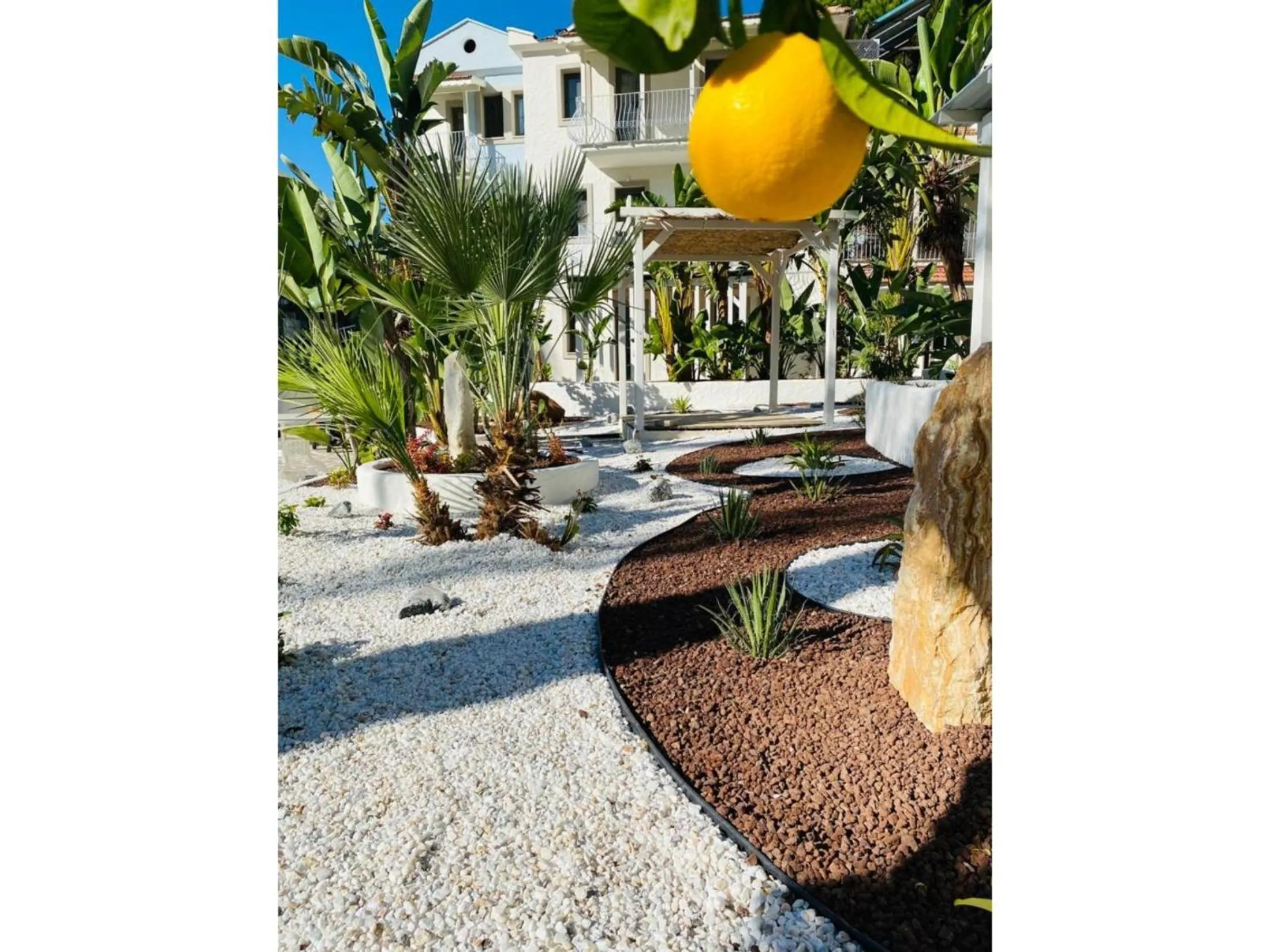 Garden in Salonika Suites