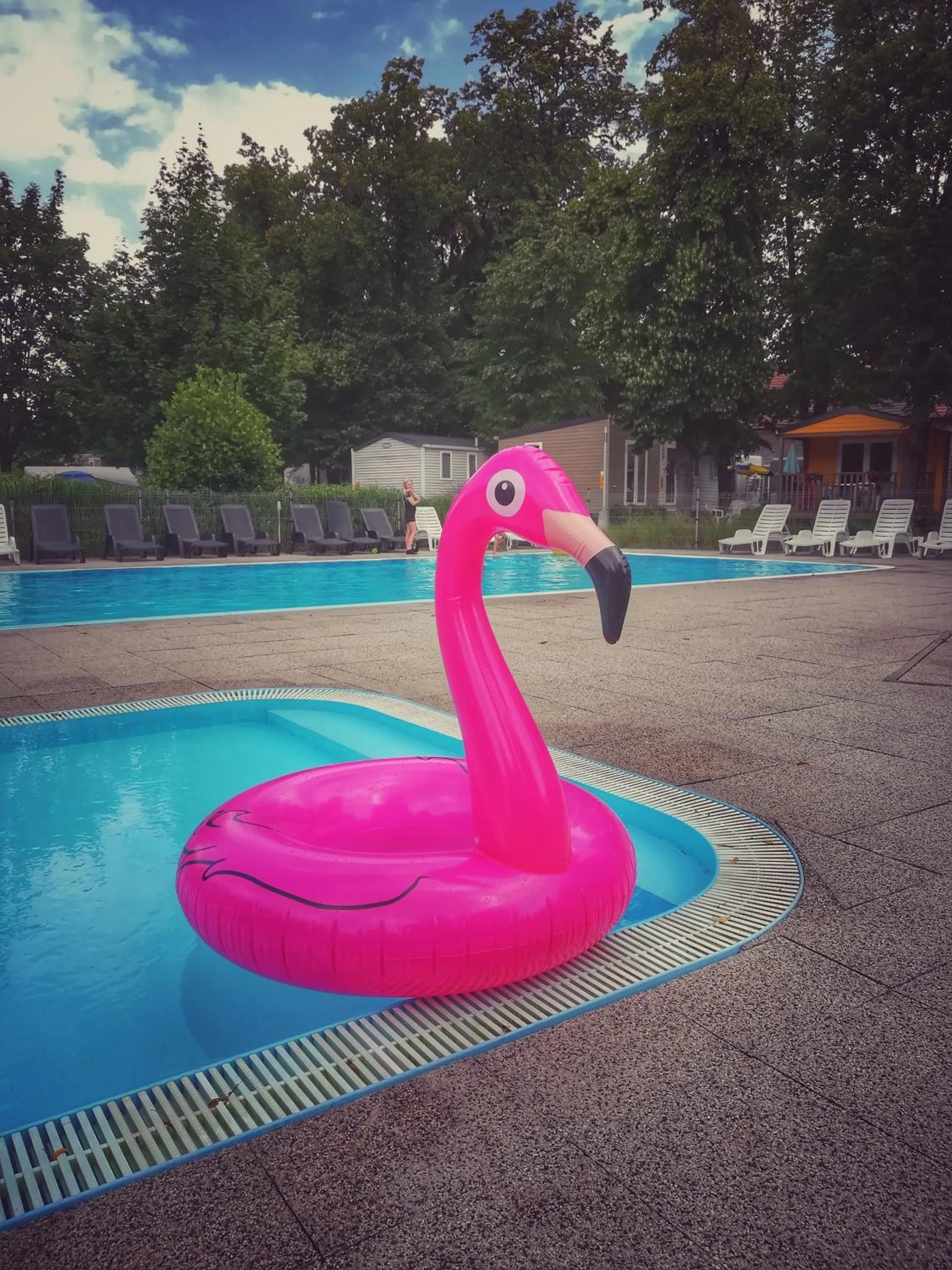 Swimming pool in Camping Sokol Praha