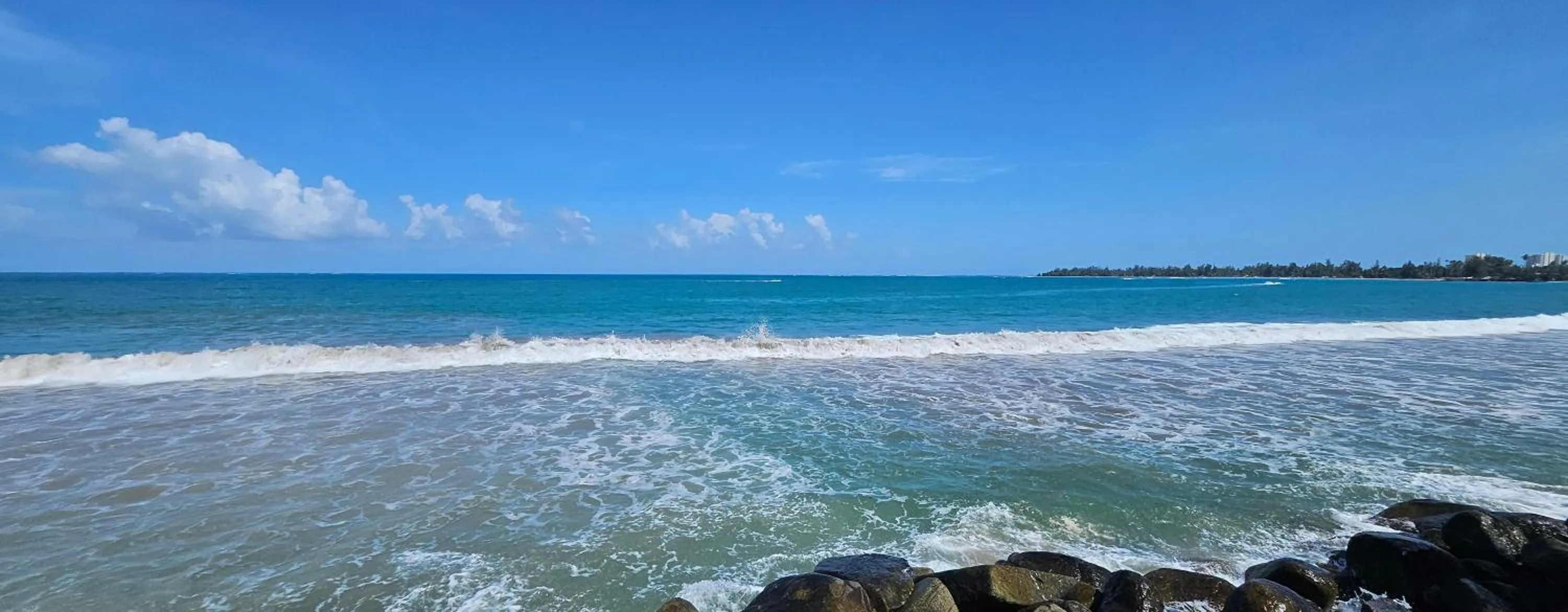 Selva Boutique Hotel - Luquillo Oceanfront Retreat - Adults Only