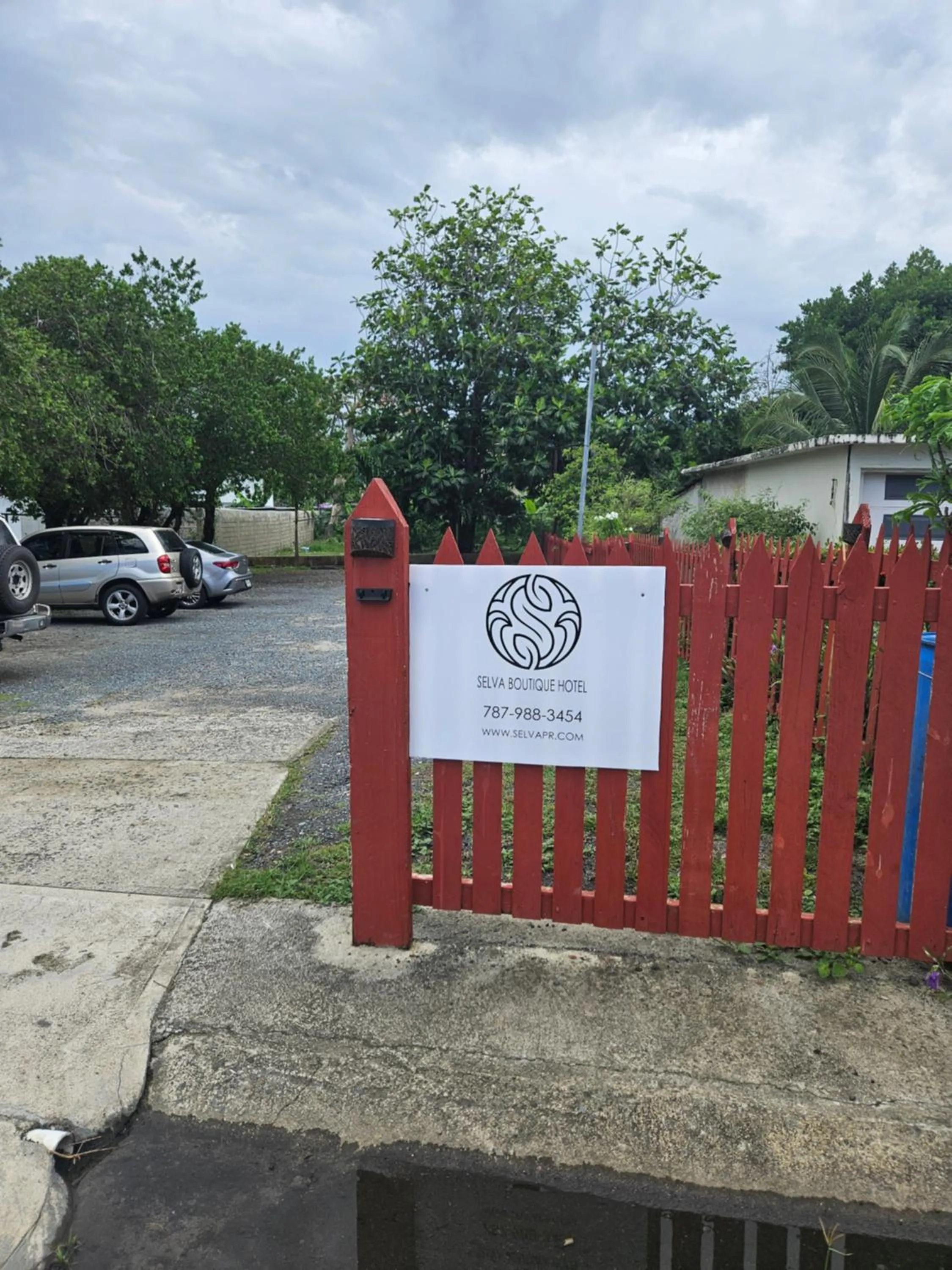 Selva Boutique Hotel - Luquillo Oceanfront Retreat - Adults Only