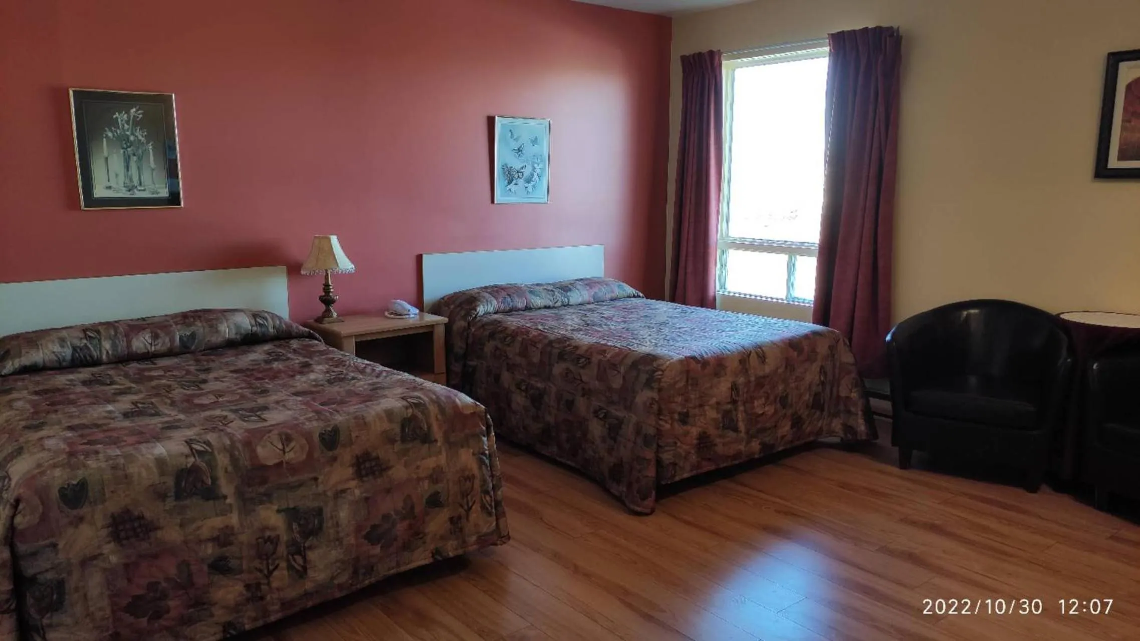 Bed in Motel Rayalco