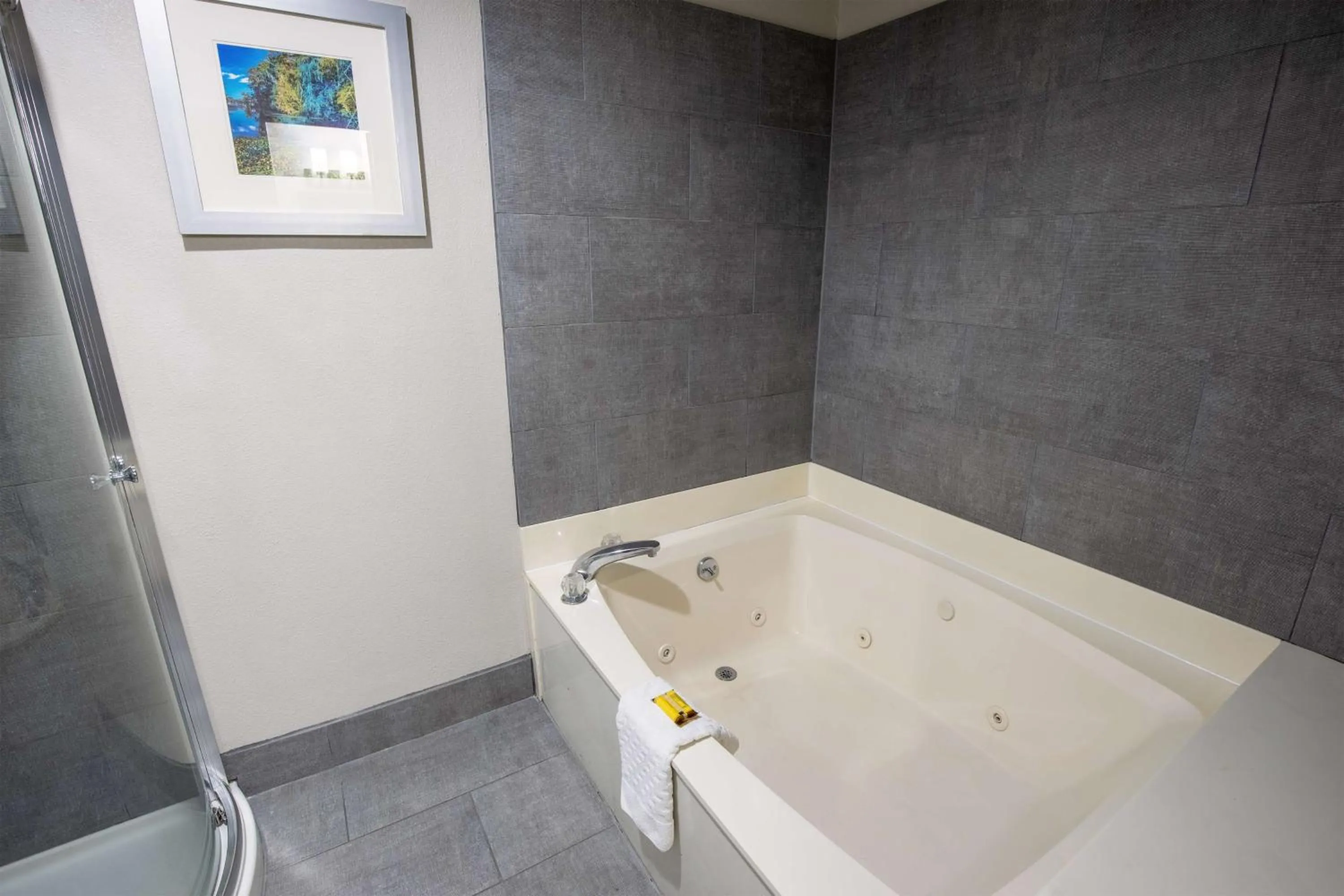 Bathroom in Best Western Plus Lafayette Vermilion River Inn & Suites