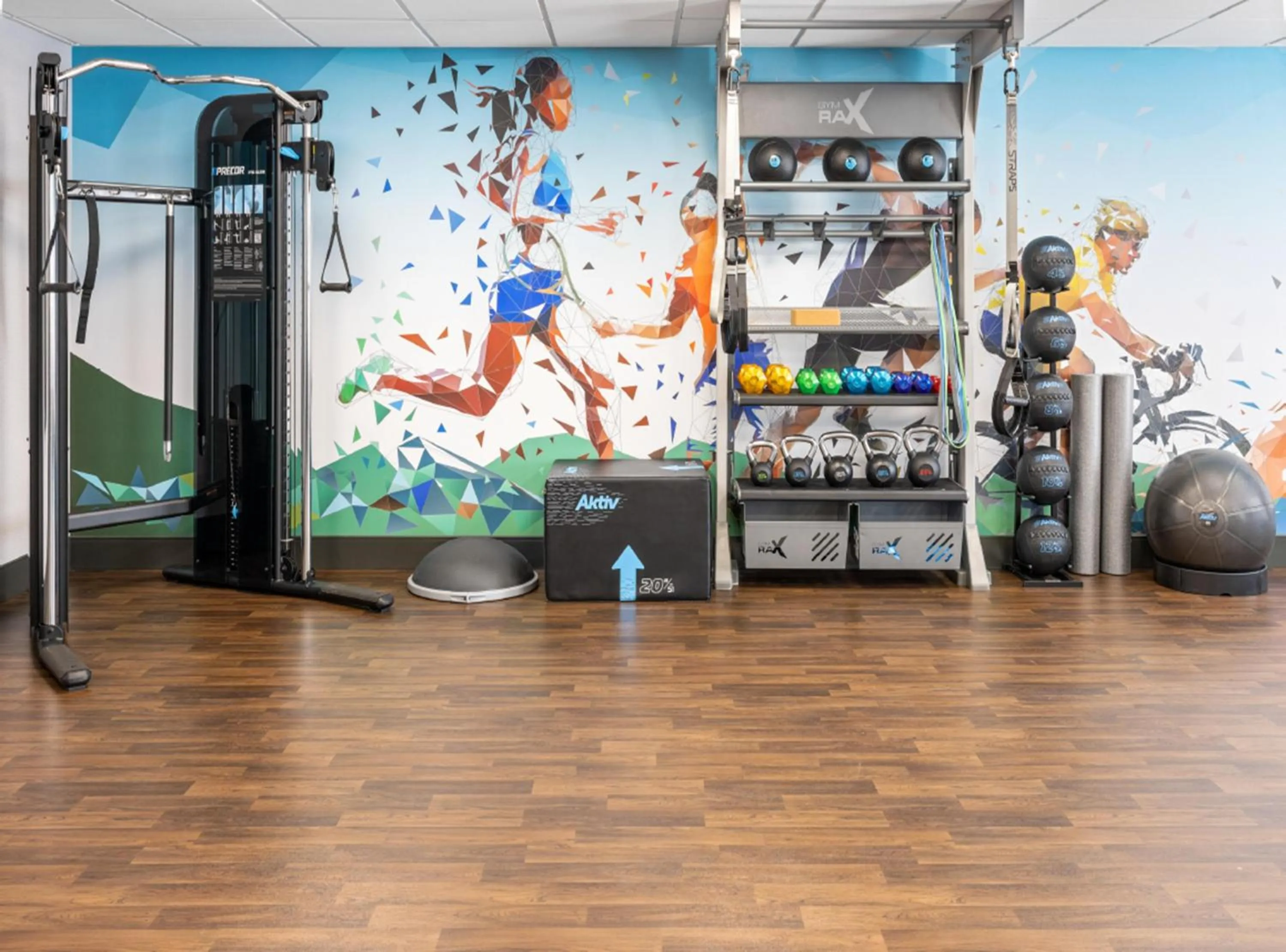 Fitness centre/facilities in Hampton Inn & Suites Richmond Glenside