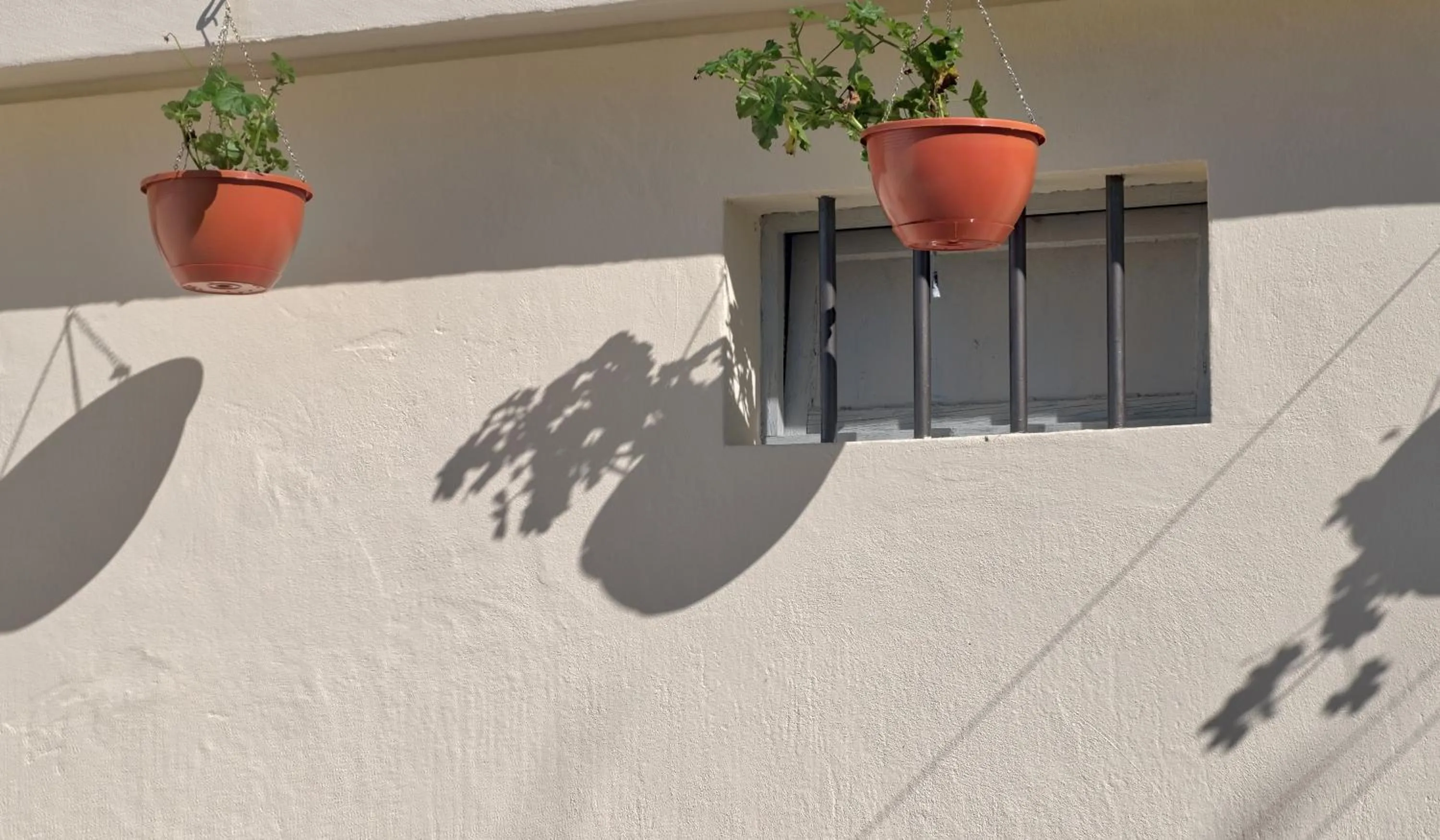 Property building in Domvs Gaia GHouse B&B