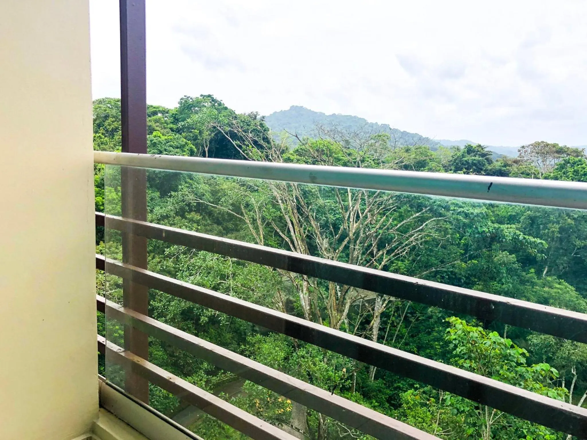 View (from property/room) in Summit Rainforest Golf Resort & All Inclusive