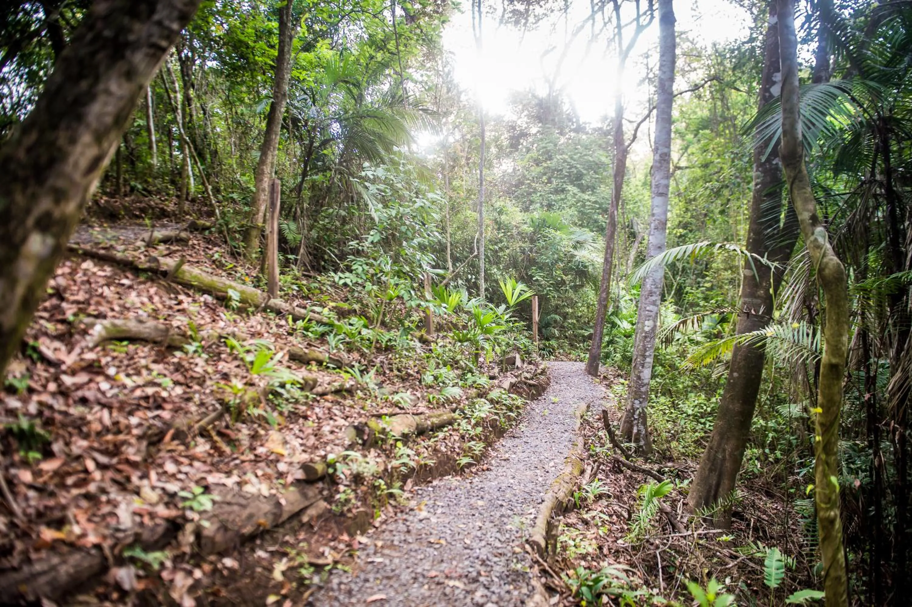 Day in Summit Rainforest Golf Resort & All Inclusive