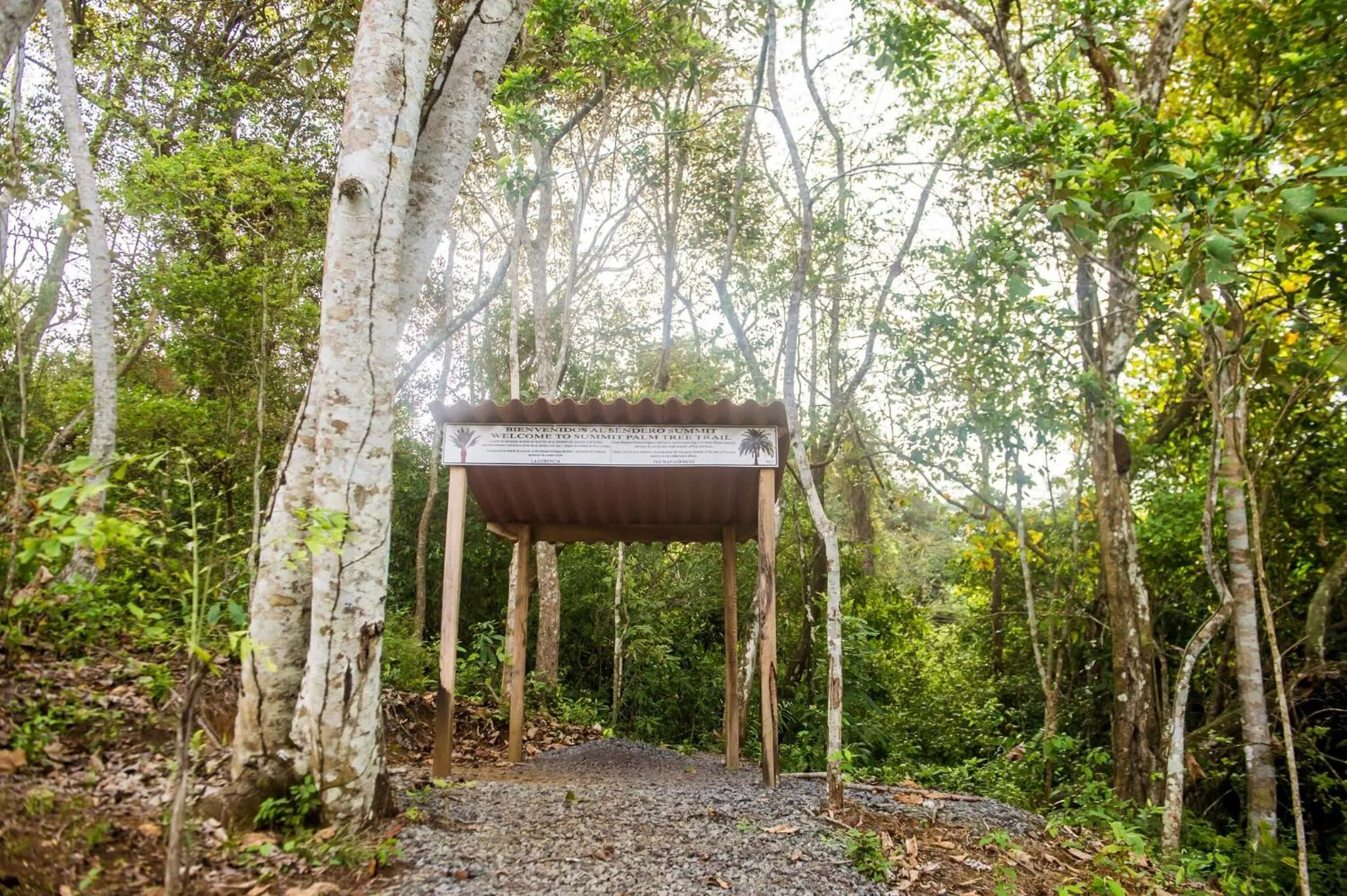 Hiking in Summit Rainforest Golf Resort & All Inclusive