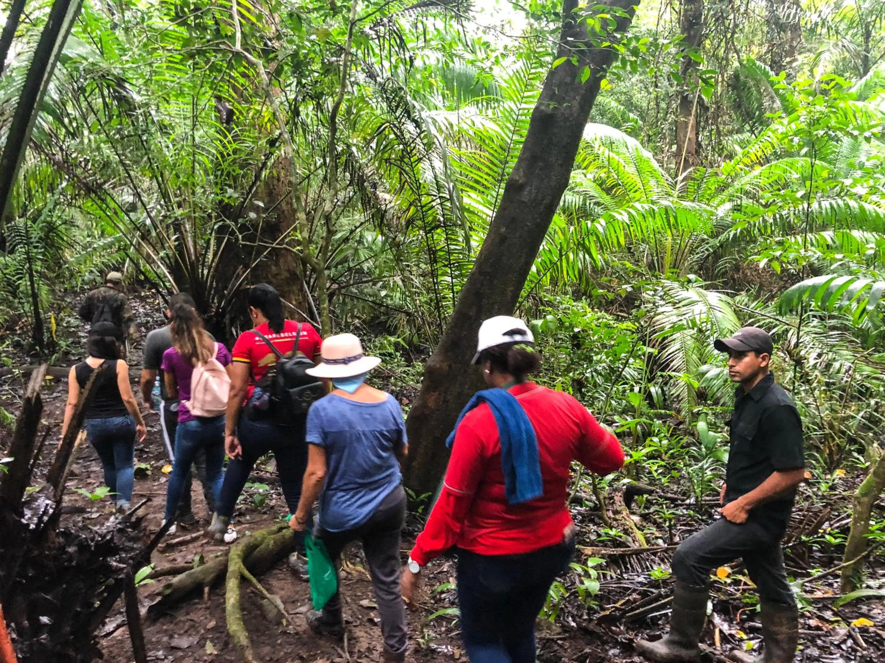 Hiking in Summit Rainforest Golf Resort & All Inclusive