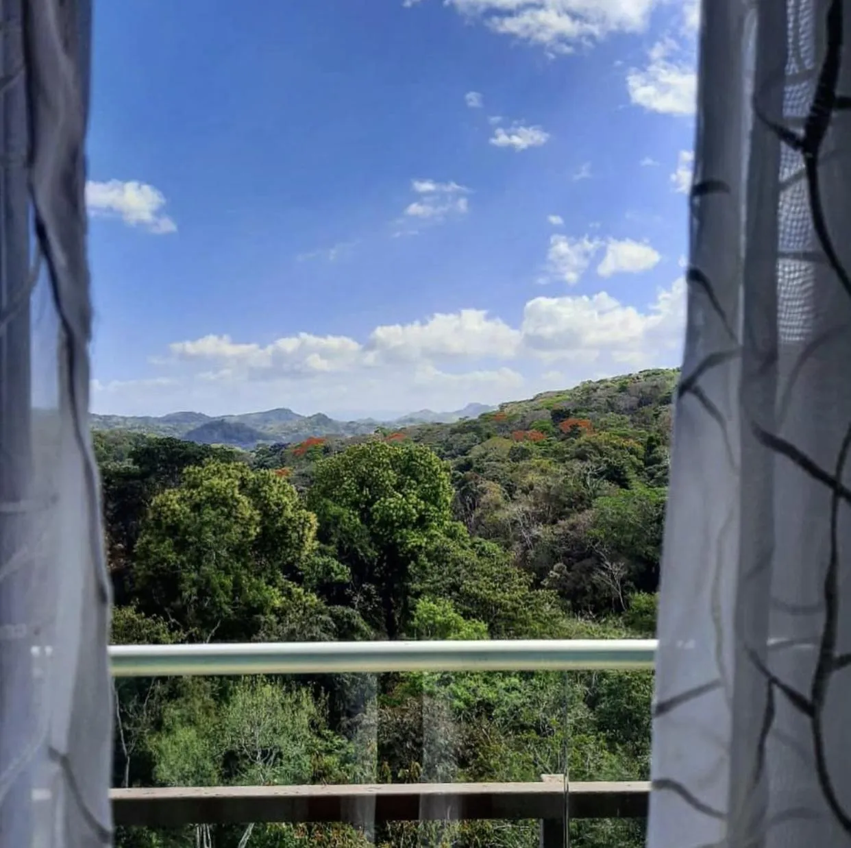 View (from property/room) in Summit Rainforest Golf Resort & All Inclusive