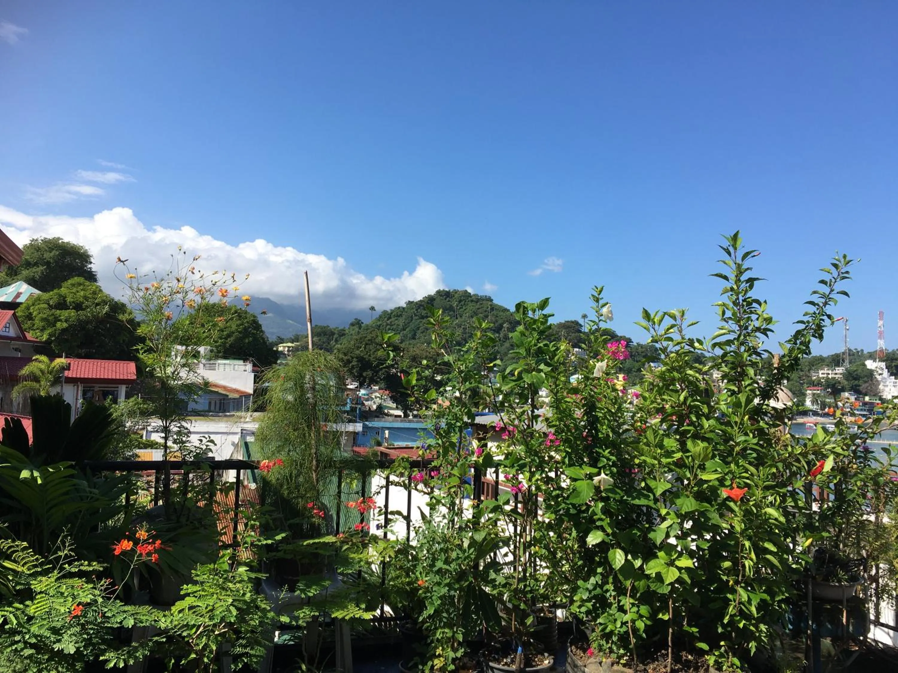 Game Room in Reynaldo's Upstairs