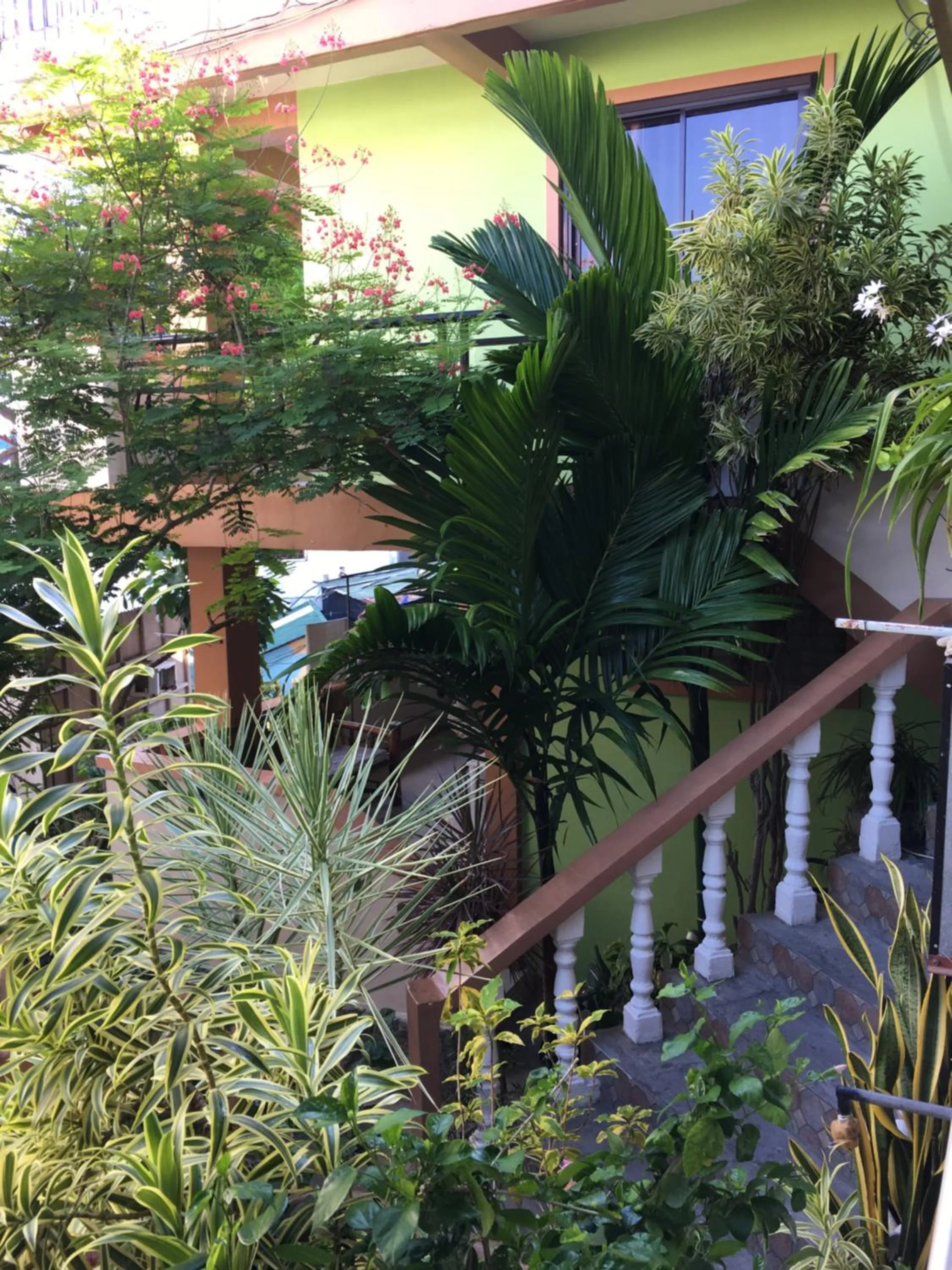 Garden in Reynaldo's Upstairs