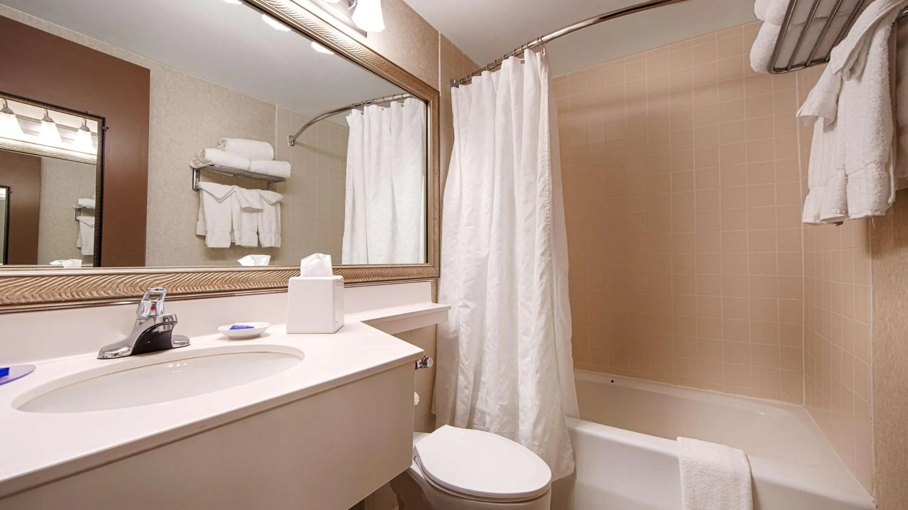 Photo of the whole room in Best Western Plus Chelmsford Inn