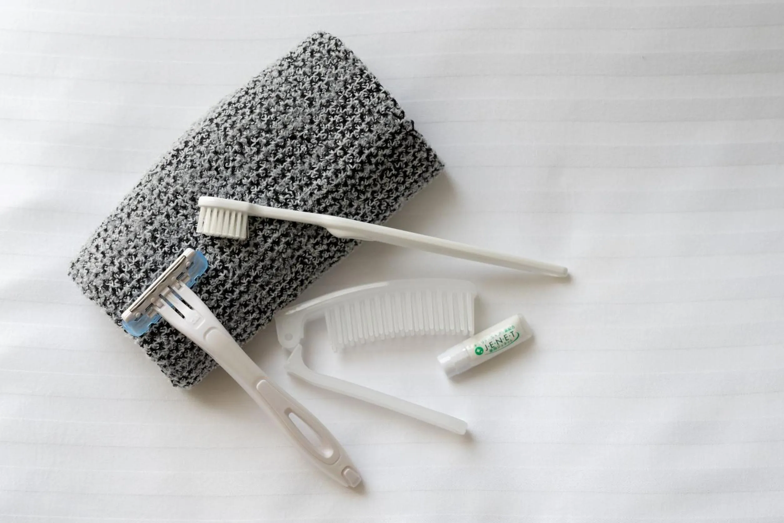 Photo of the whole room in Hotel Vista Ebina