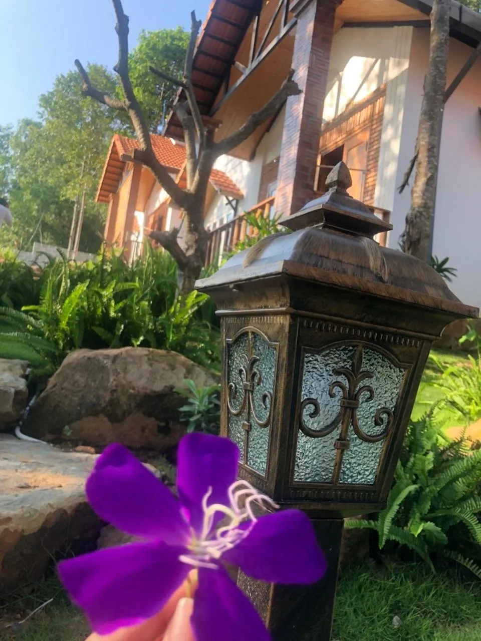 Đồi Sao Phú Quốc