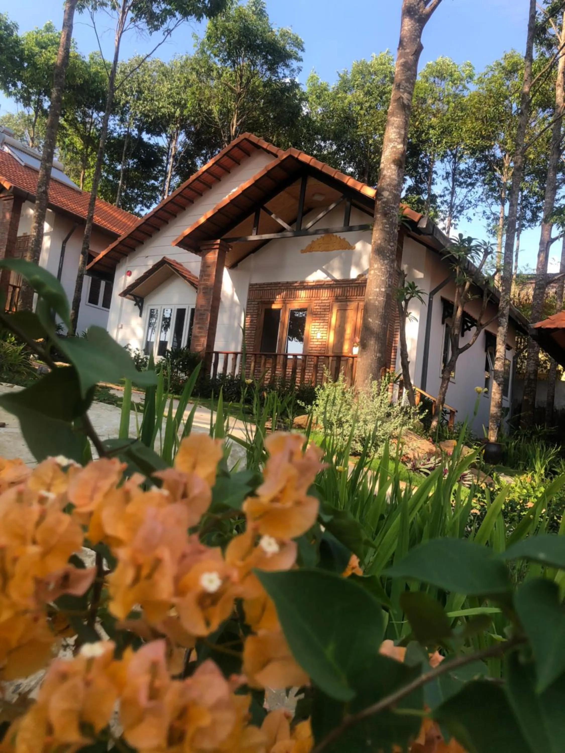 Đồi Sao Phú Quốc