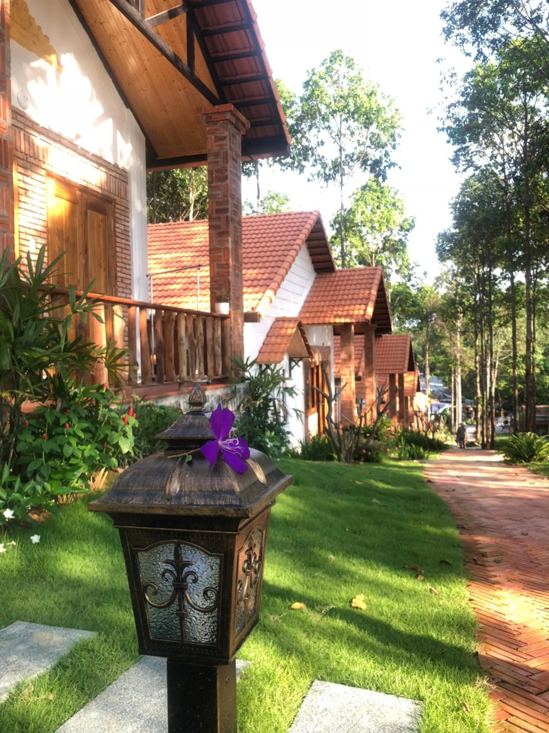 Đồi Sao Phú Quốc