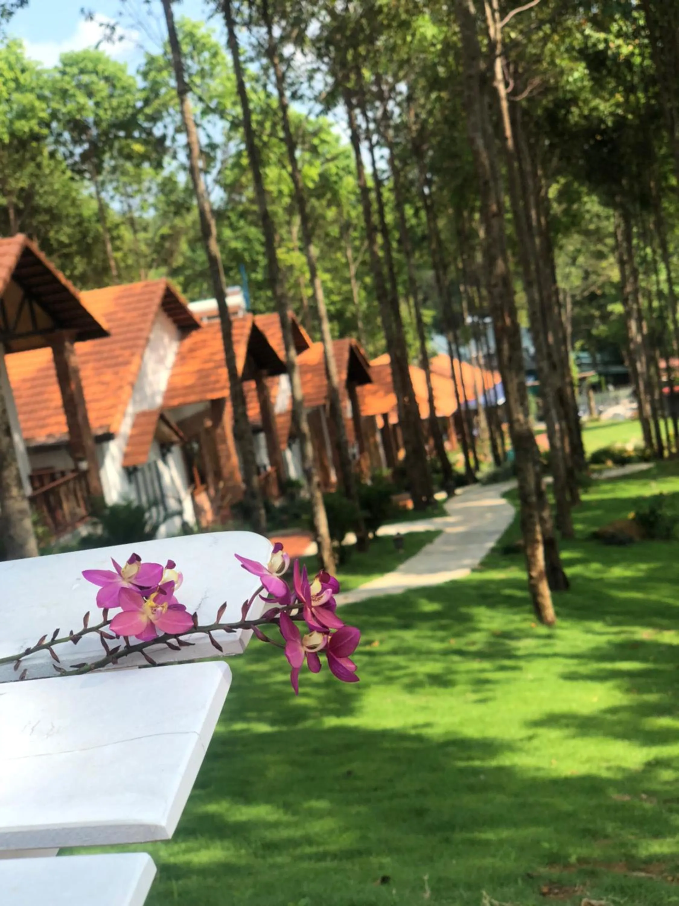 Đồi Sao Phú Quốc