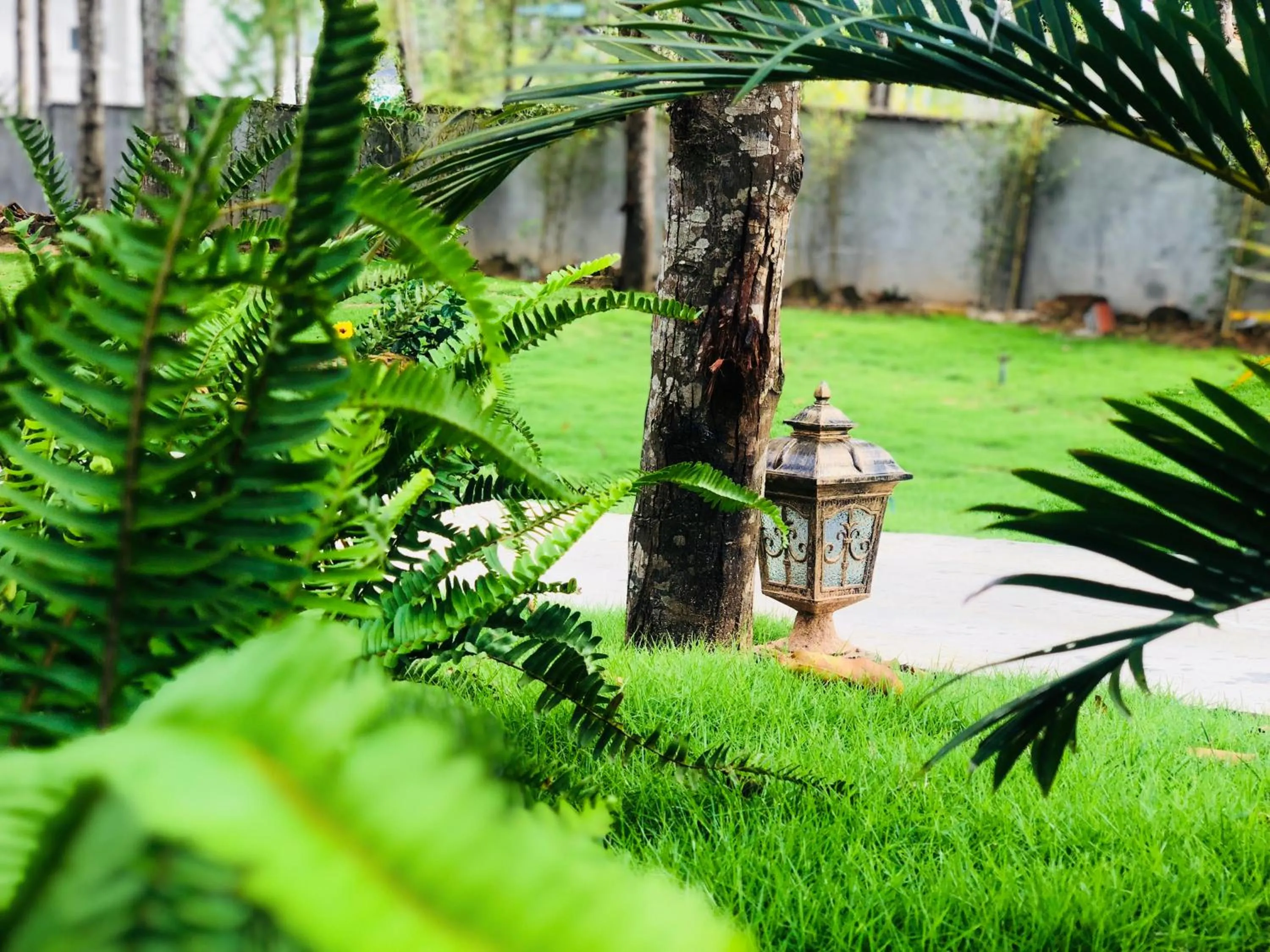 Đồi Sao Phú Quốc