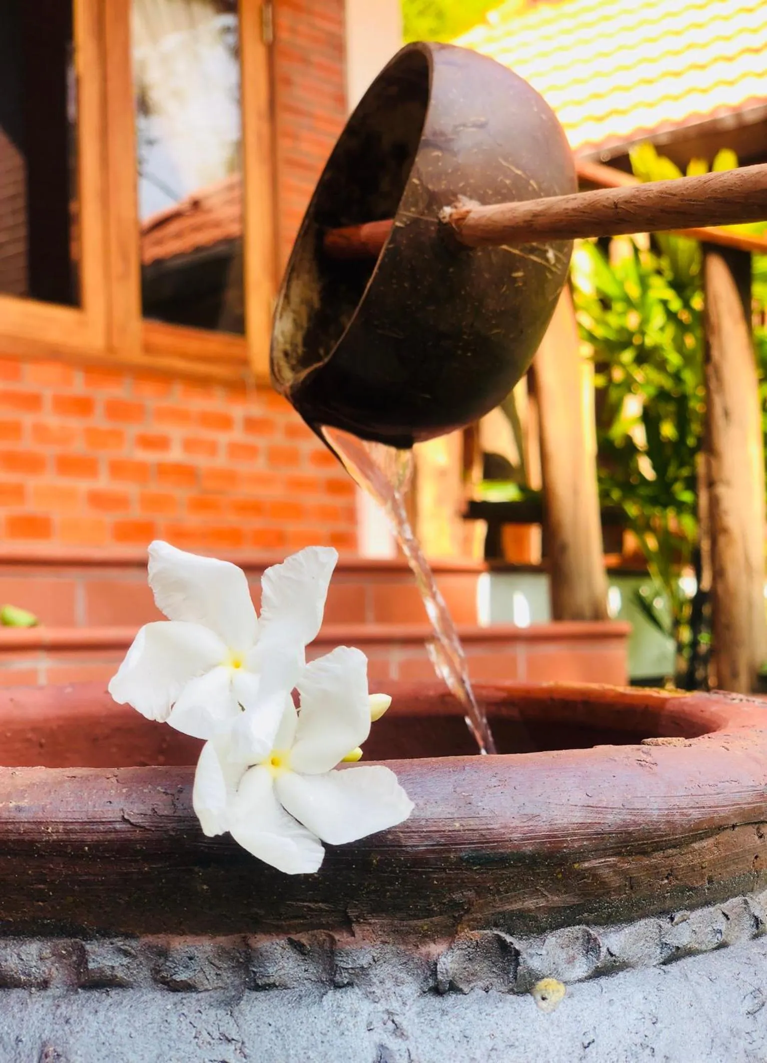 Đồi Sao Phú Quốc