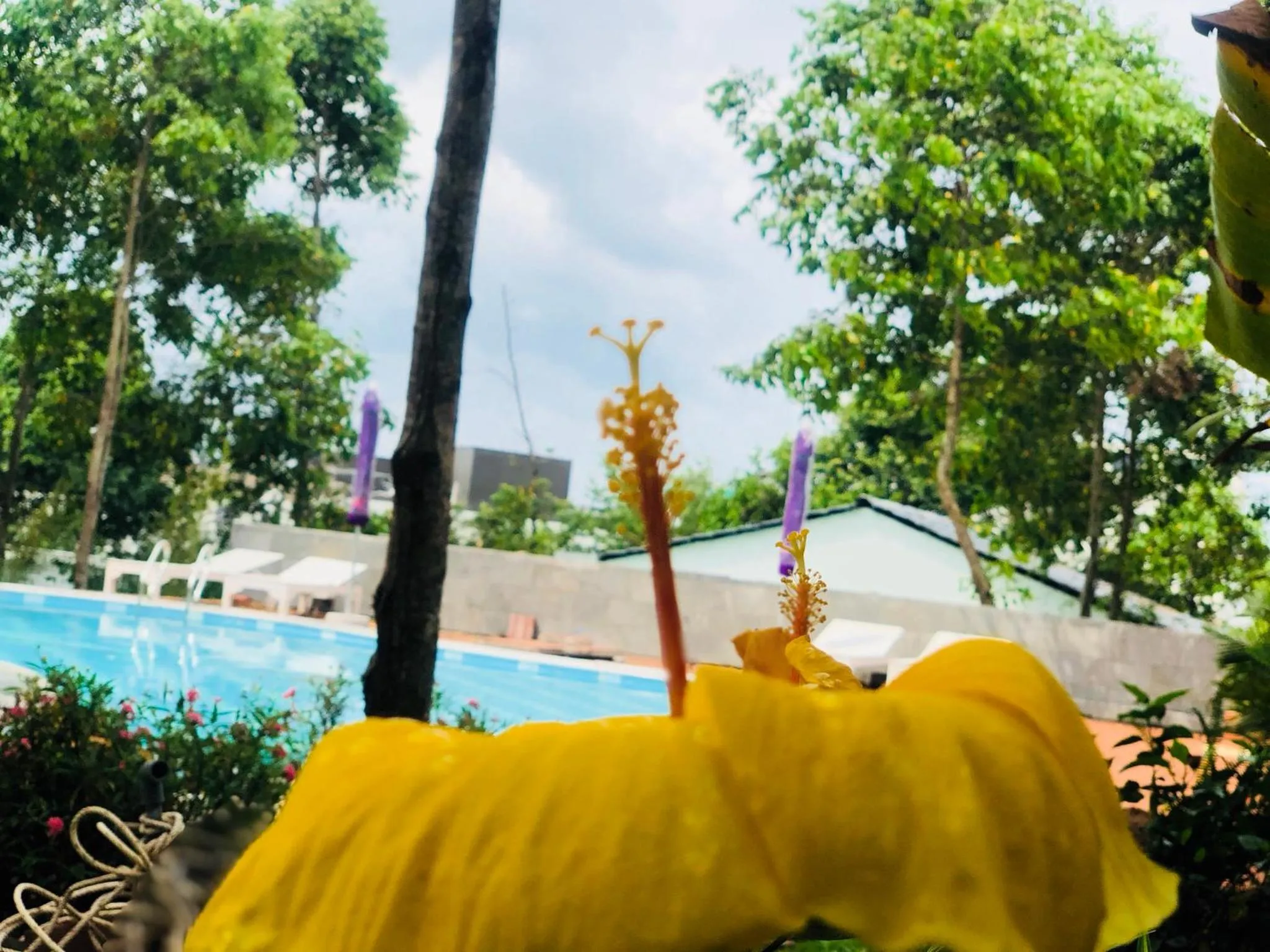 Swimming pool in Đồi Sao Phú Quốc