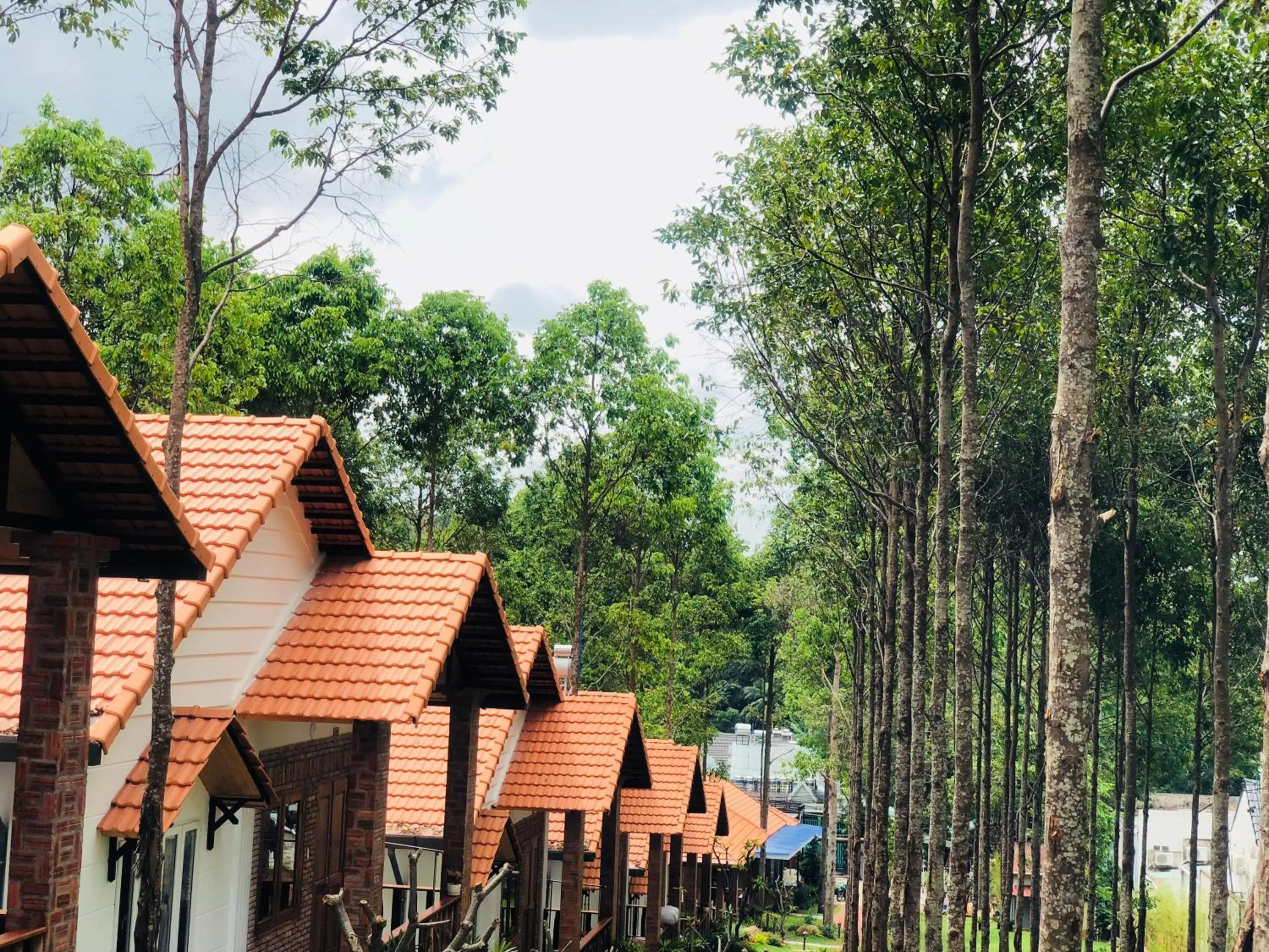 Garden in Đồi Sao Phú Quốc