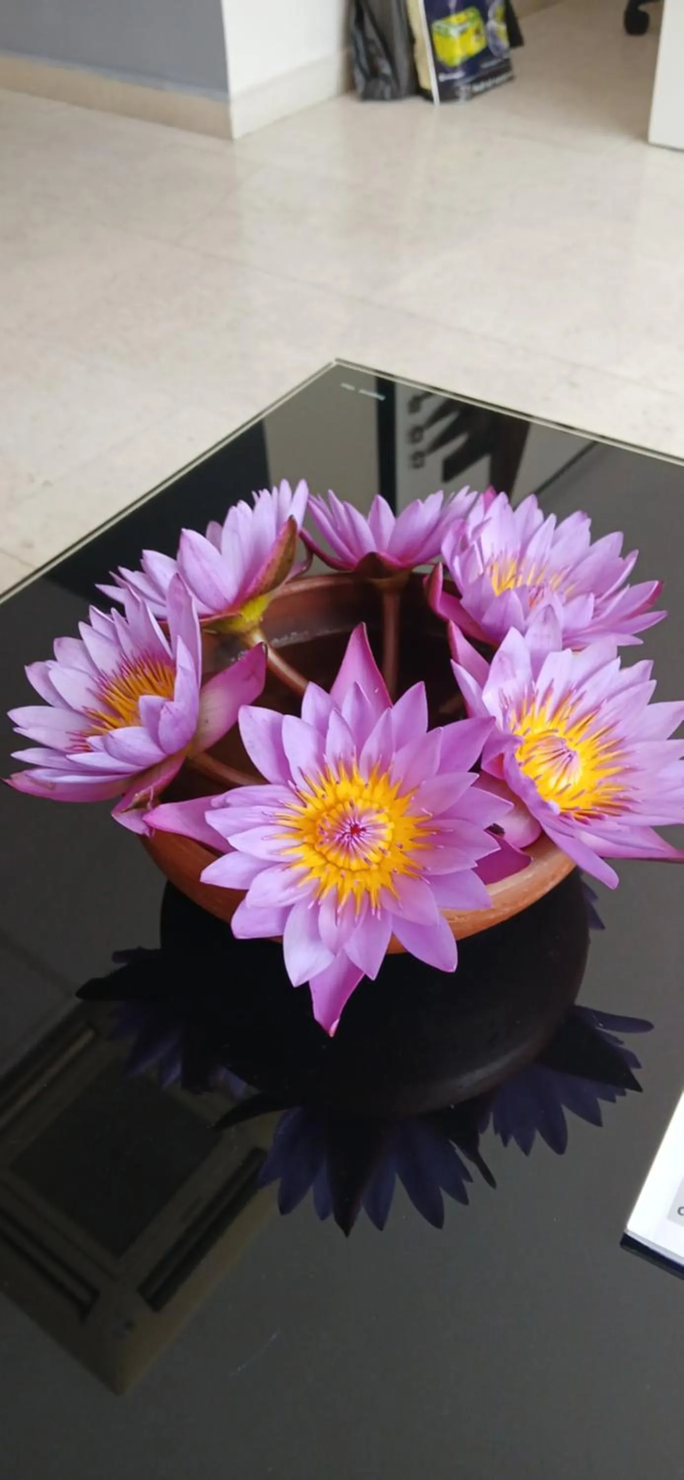 Ripon Grand Hill By EHI