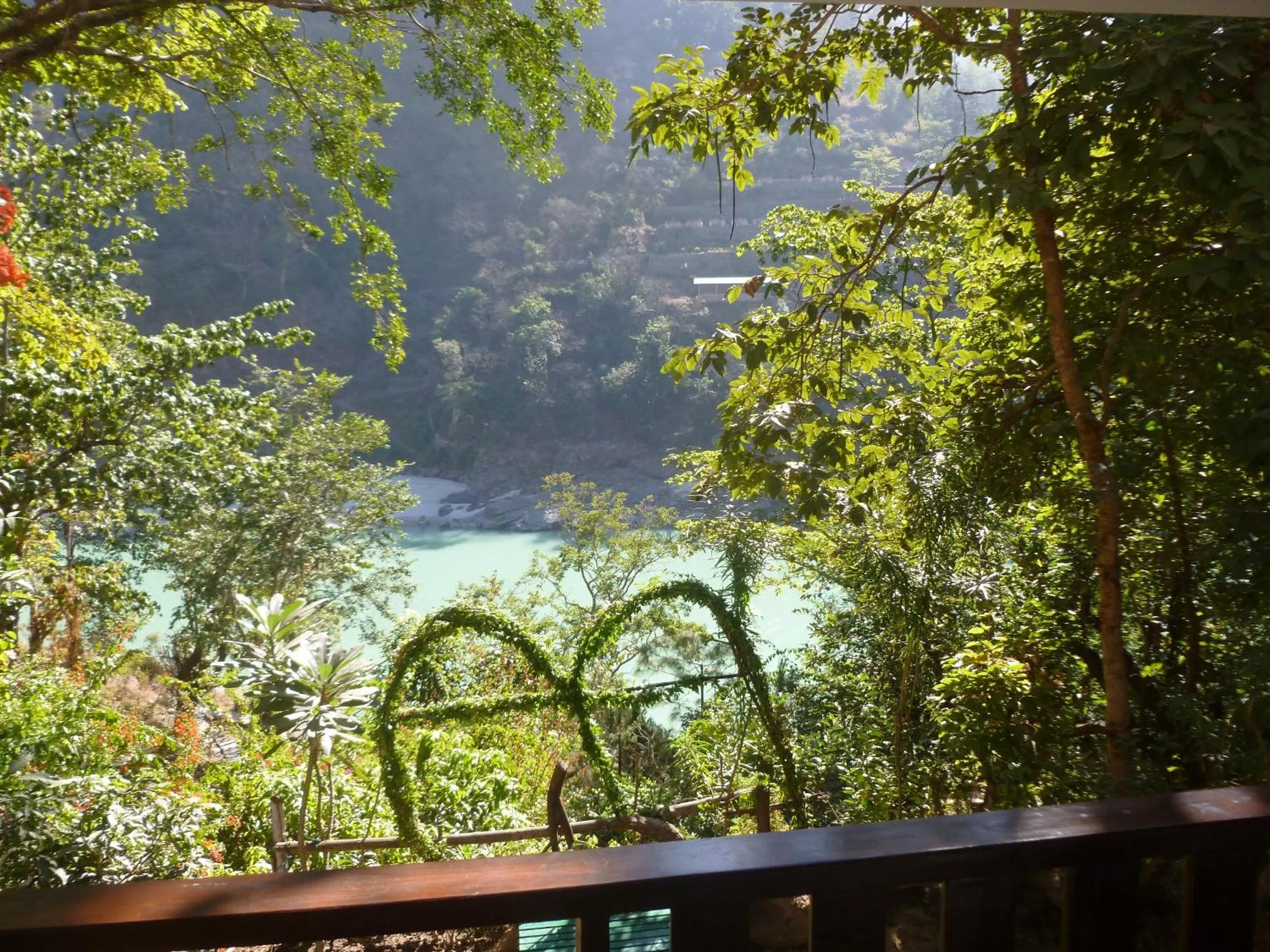 Garden in Samira's Birds & Butterflies Park-Spashram Ganga Beach Retreat