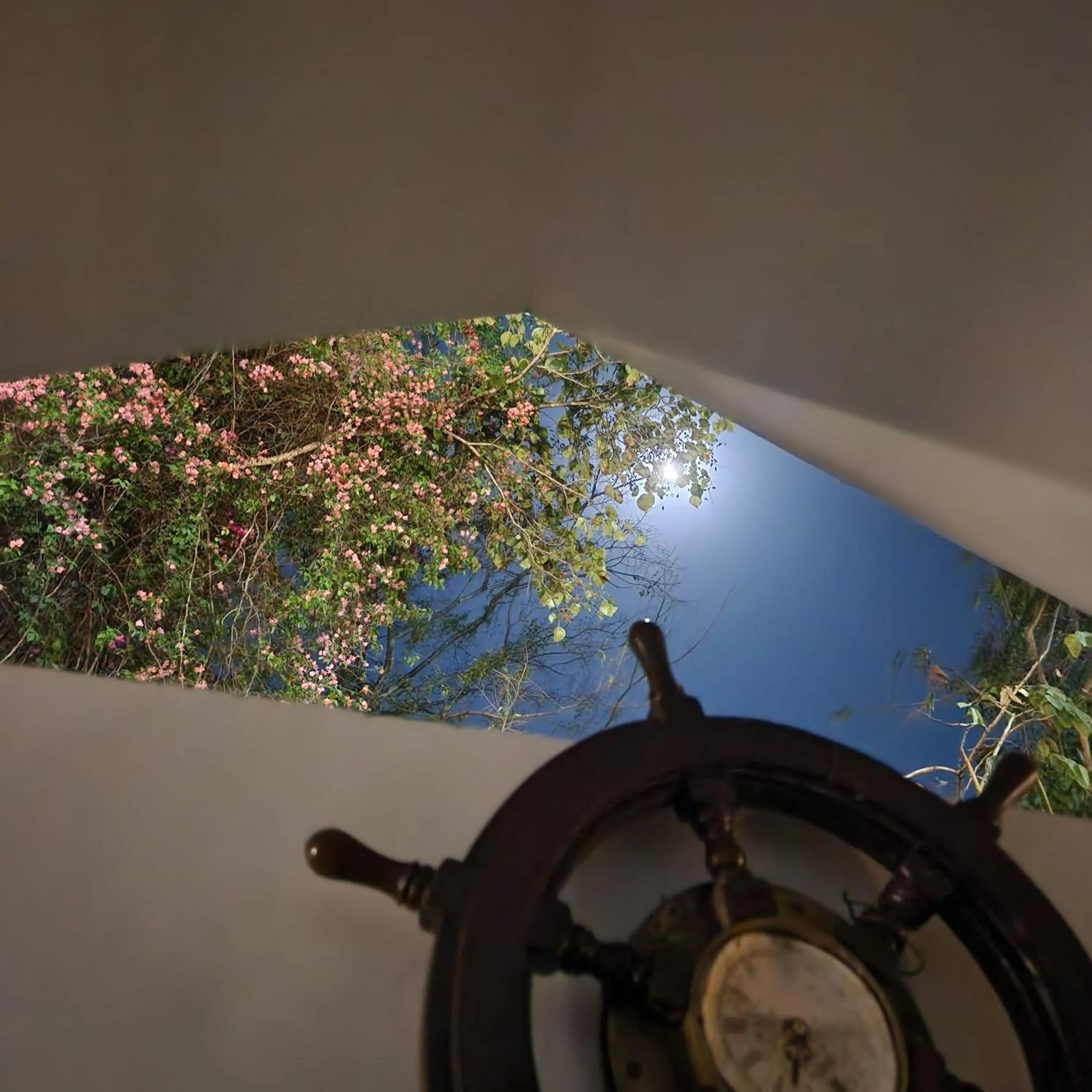 Samira's Birds & Butterflies Park-Spashram Ganga Beach Retreat