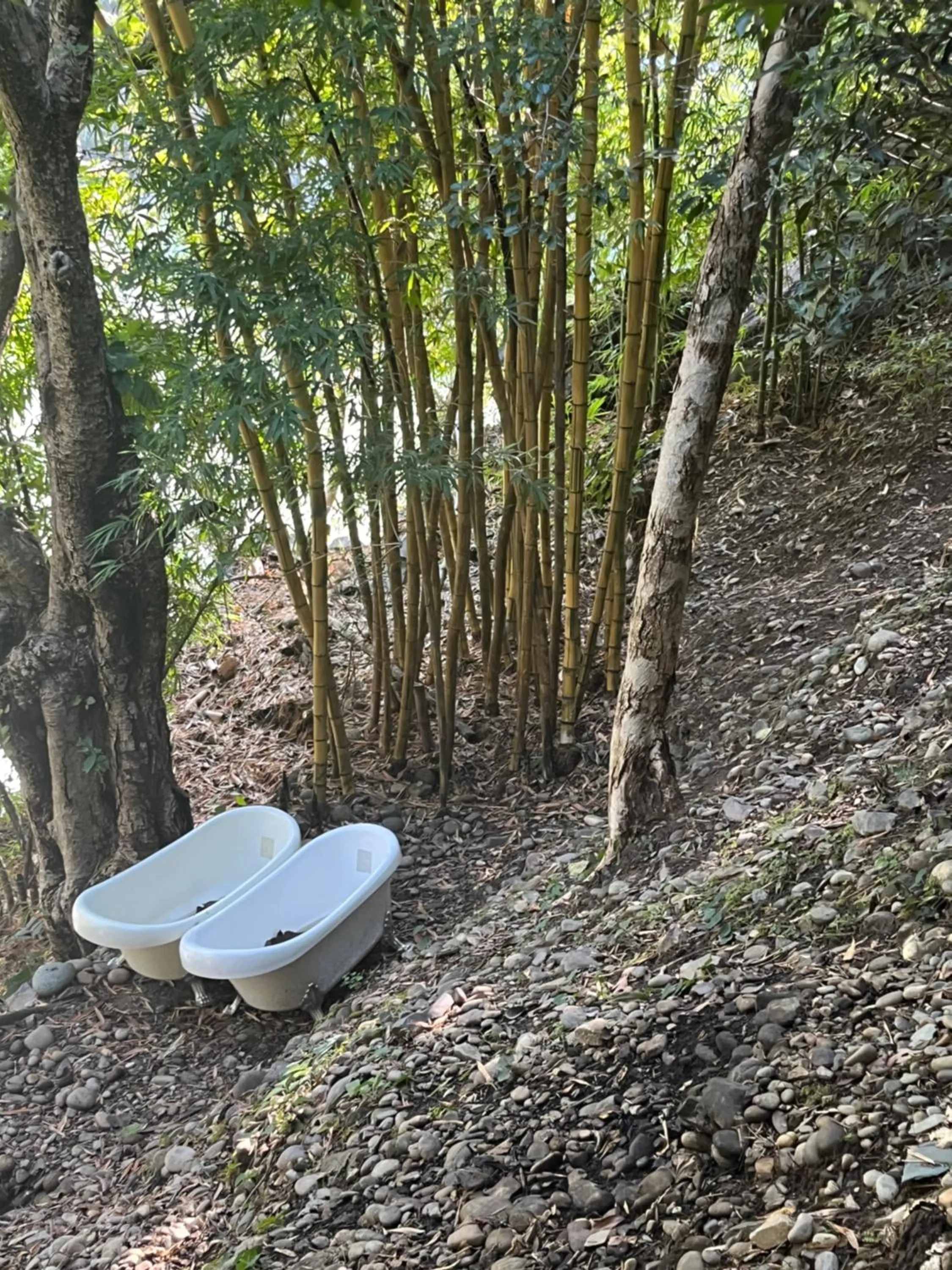 Samira's Birds & Butterflies Park-Spashram Ganga Beach Retreat