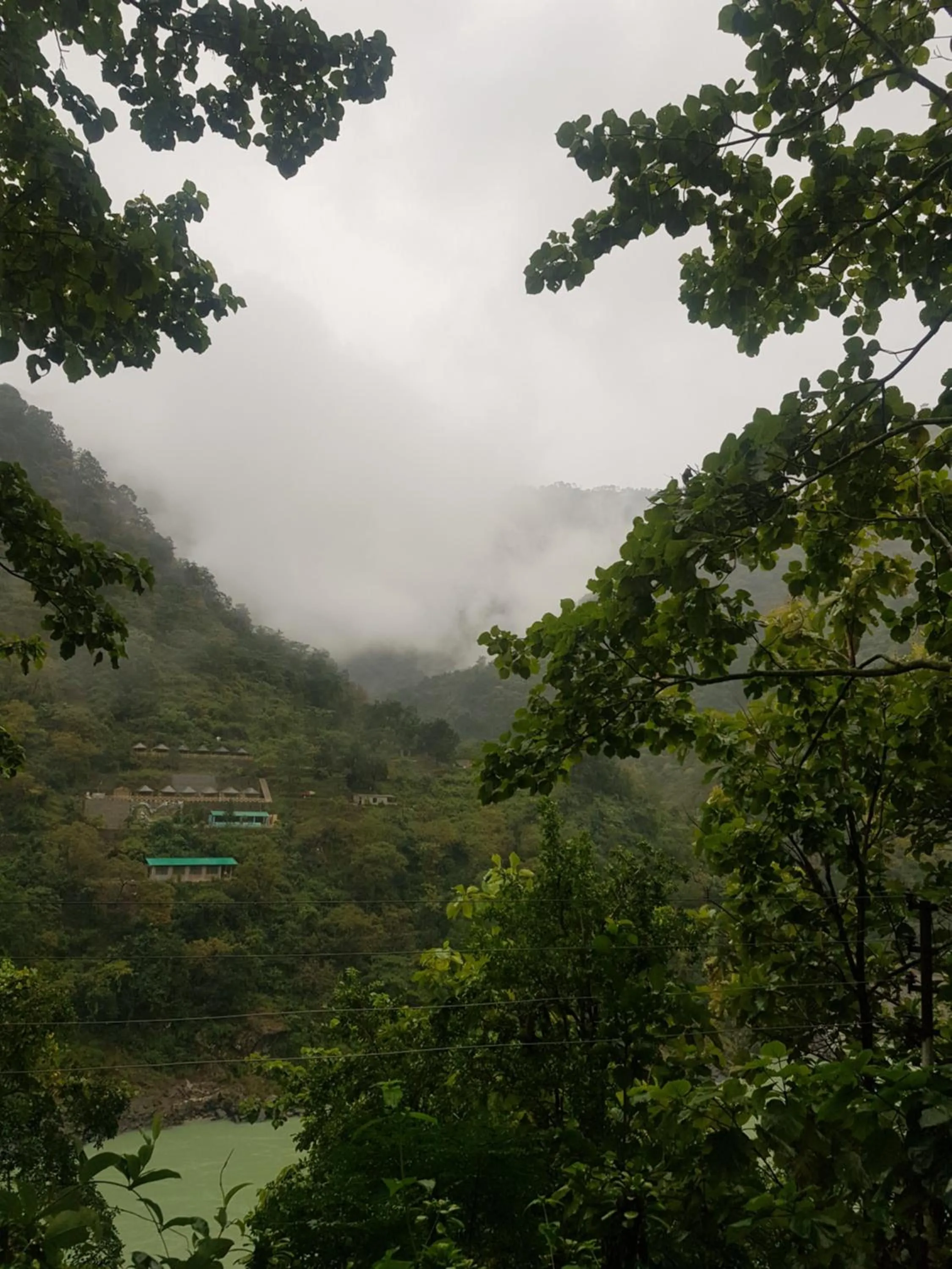 Natural landscape in Samira's Birds & Butterflies Park-Spashram Ganga Beach Retreat