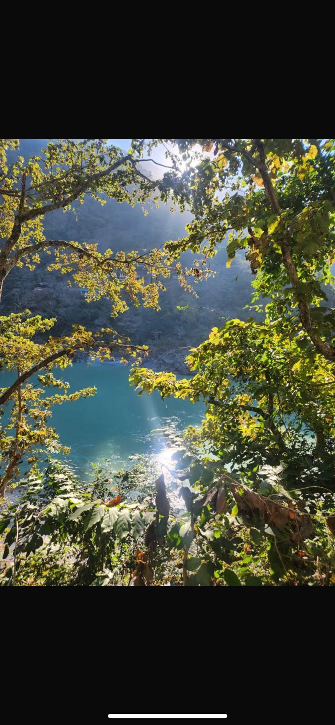 Samira's Birds & Butterflies Park-Spashram Ganga Beach Retreat